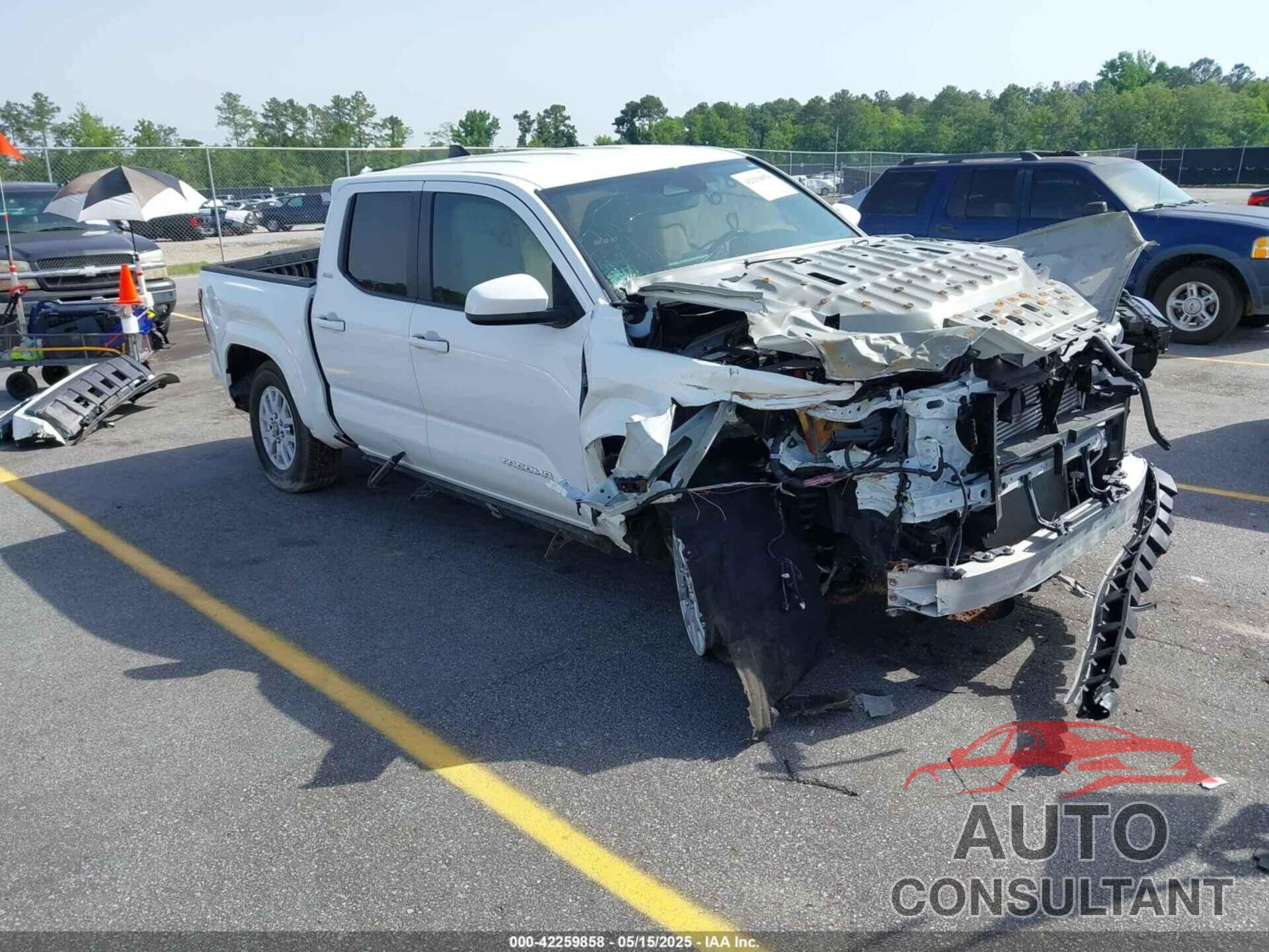 TOYOTA TACOMA 2024 - 3TYLB5JN2RT011448