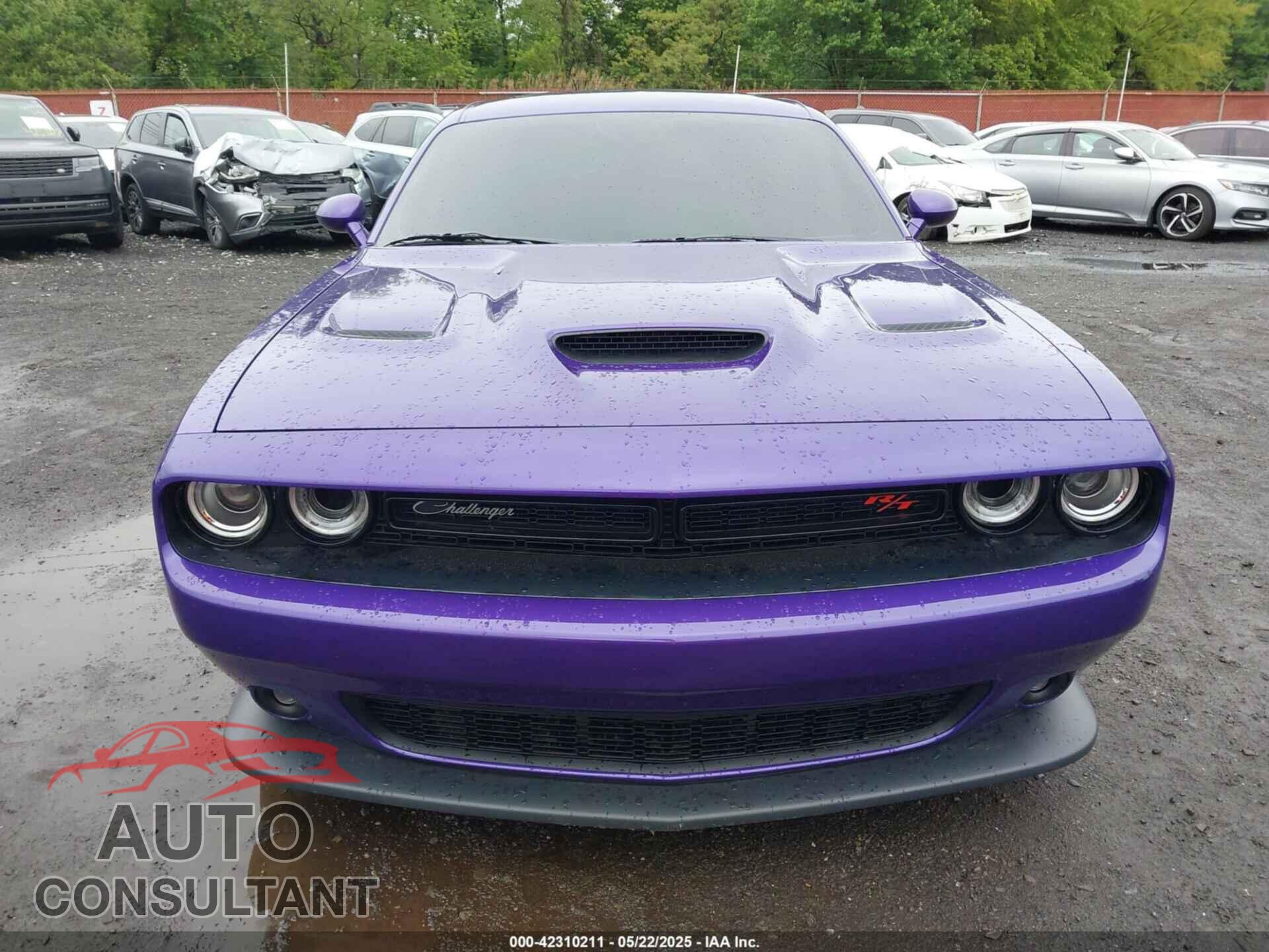 DODGE CHALLENGER 2019 - 2C3CDZFJ8KH595253