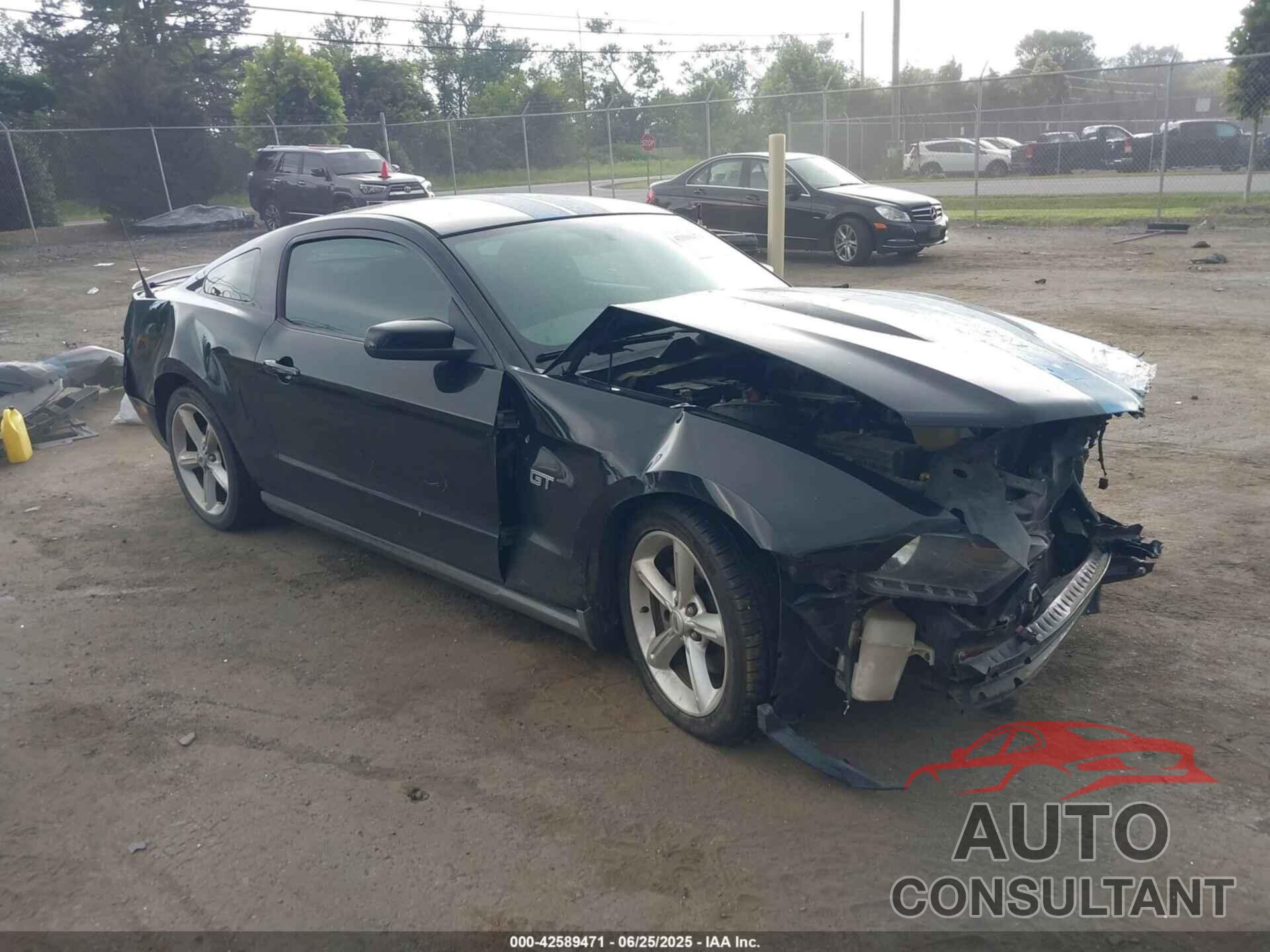 FORD MUSTANG 2010 - 1ZVBP8CH9A5170668