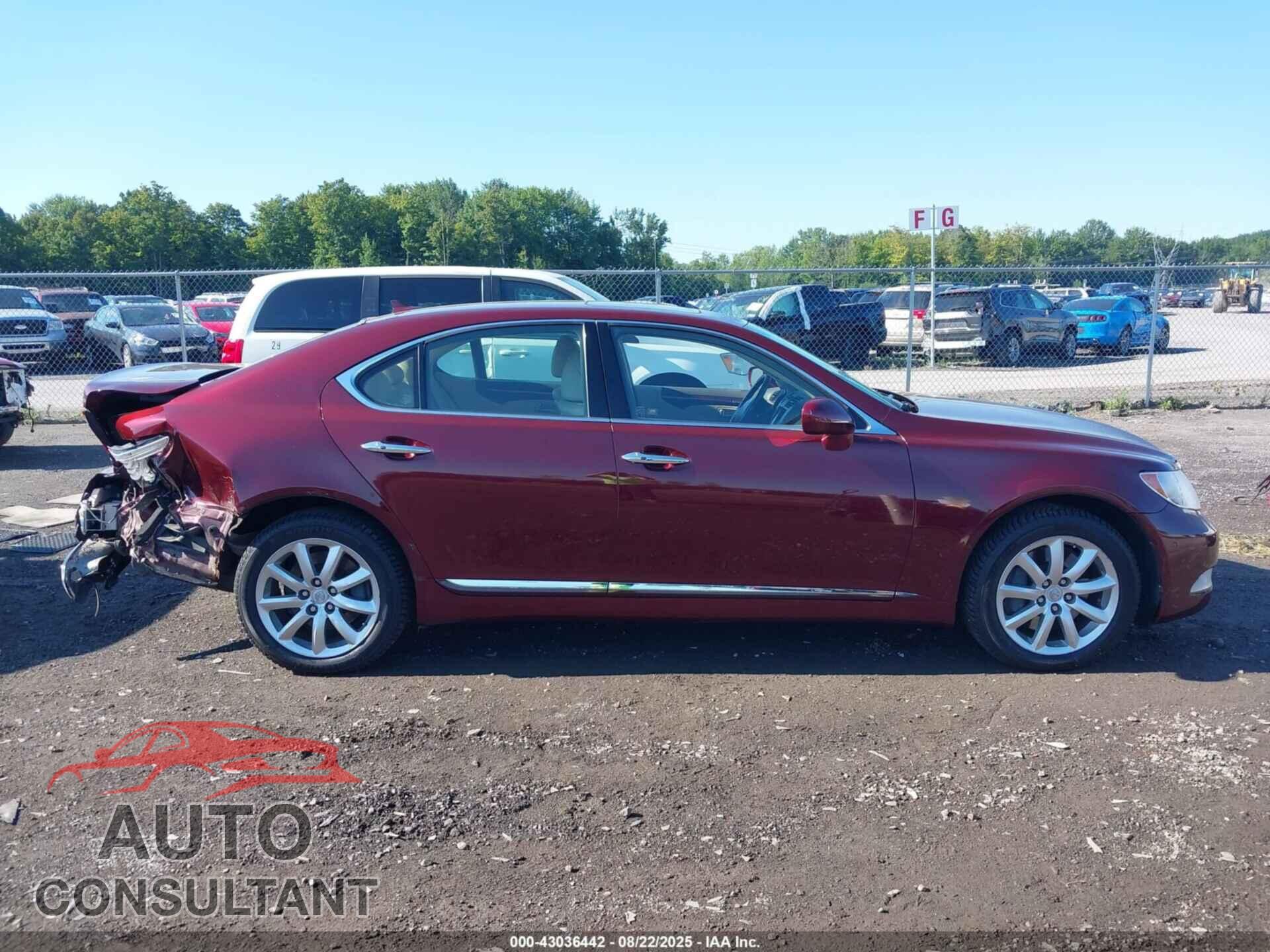 LEXUS LS 460 2009 - JTHCL46F295001821