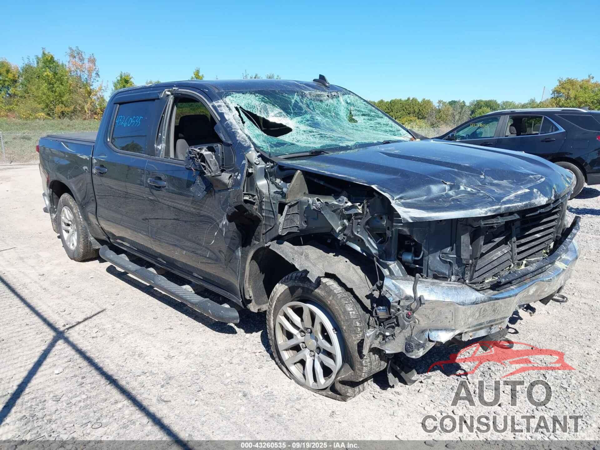 CHEVROLET SILVERADO 1500 2019 - 1GCUYDED4KZ165738