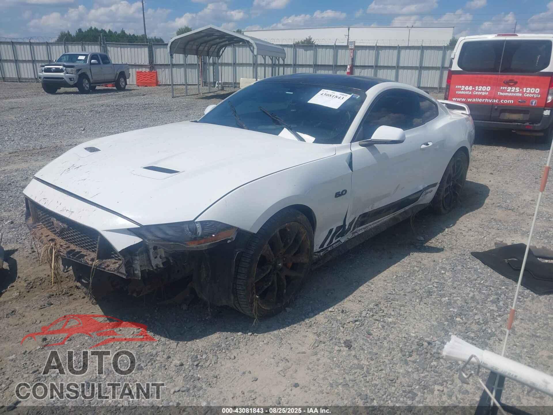 FORD MUSTANG 2018 - 1FA6P8CF2J5117979