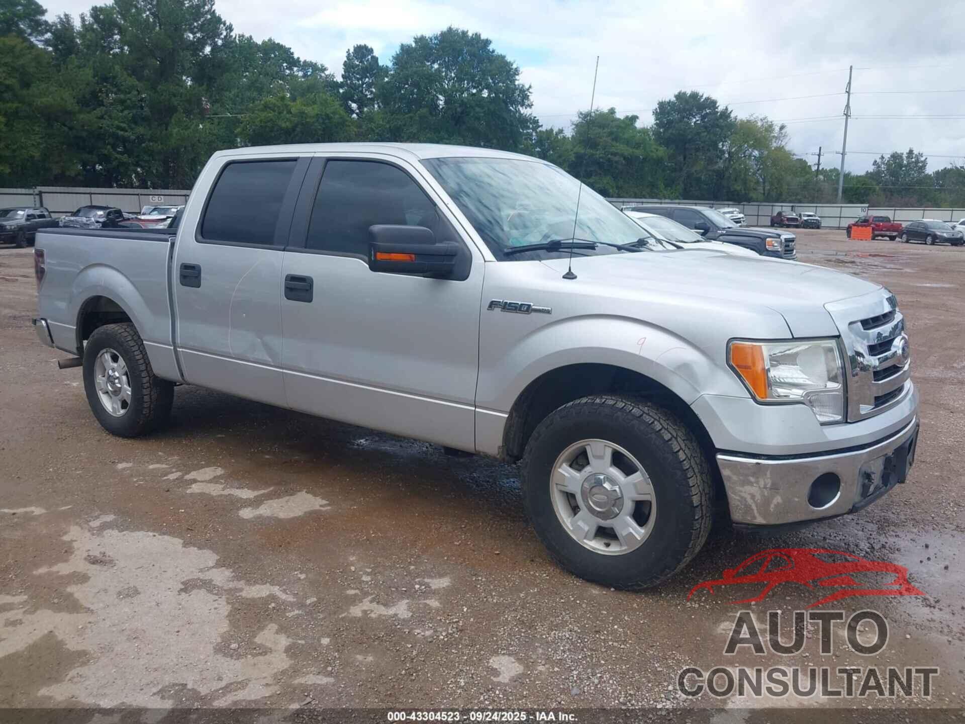 FORD F-150 2011 - 1FTEW1CM9BFB48480