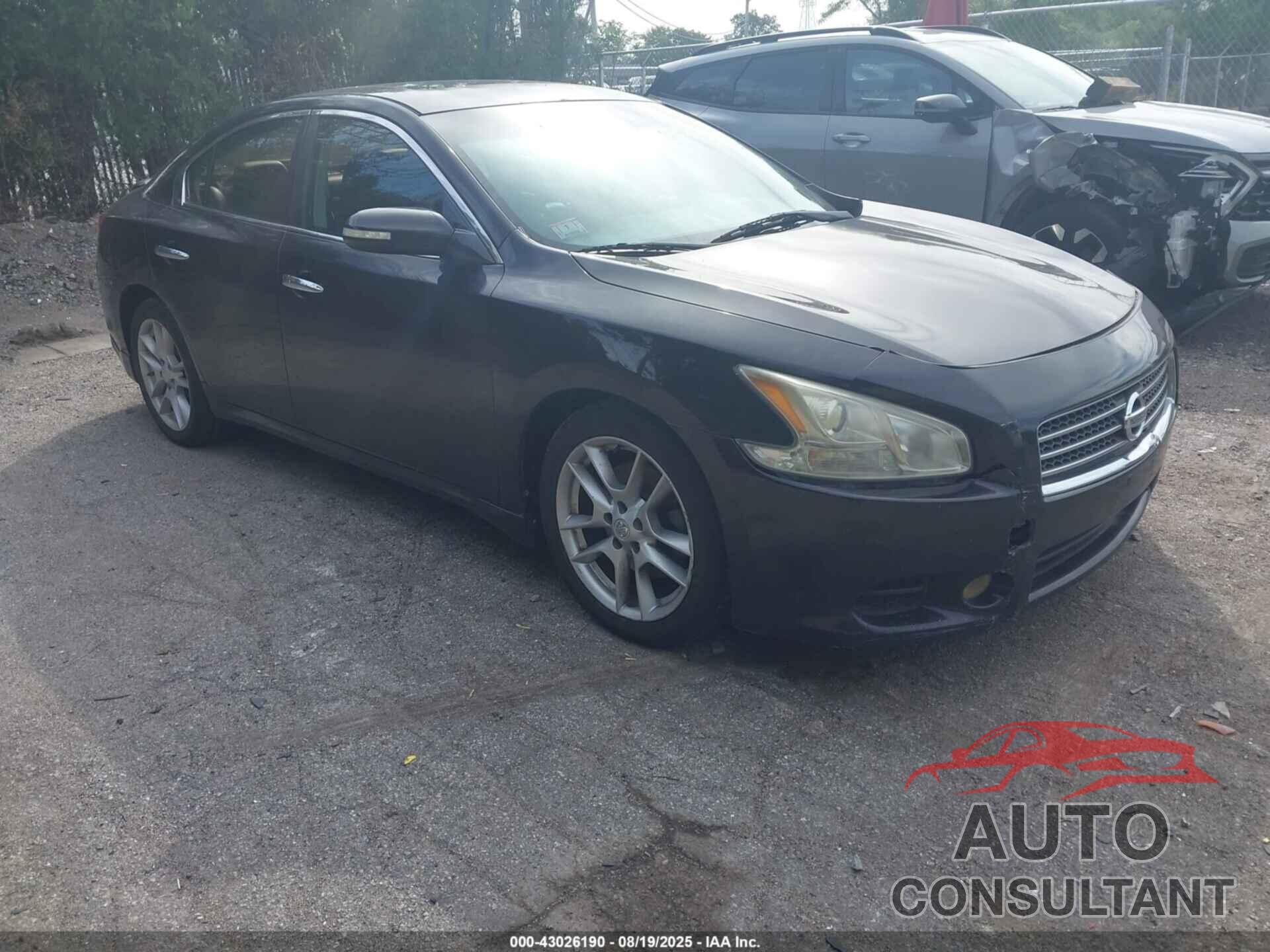NISSAN MAXIMA 2010 - 1N4AA5APXAC854154