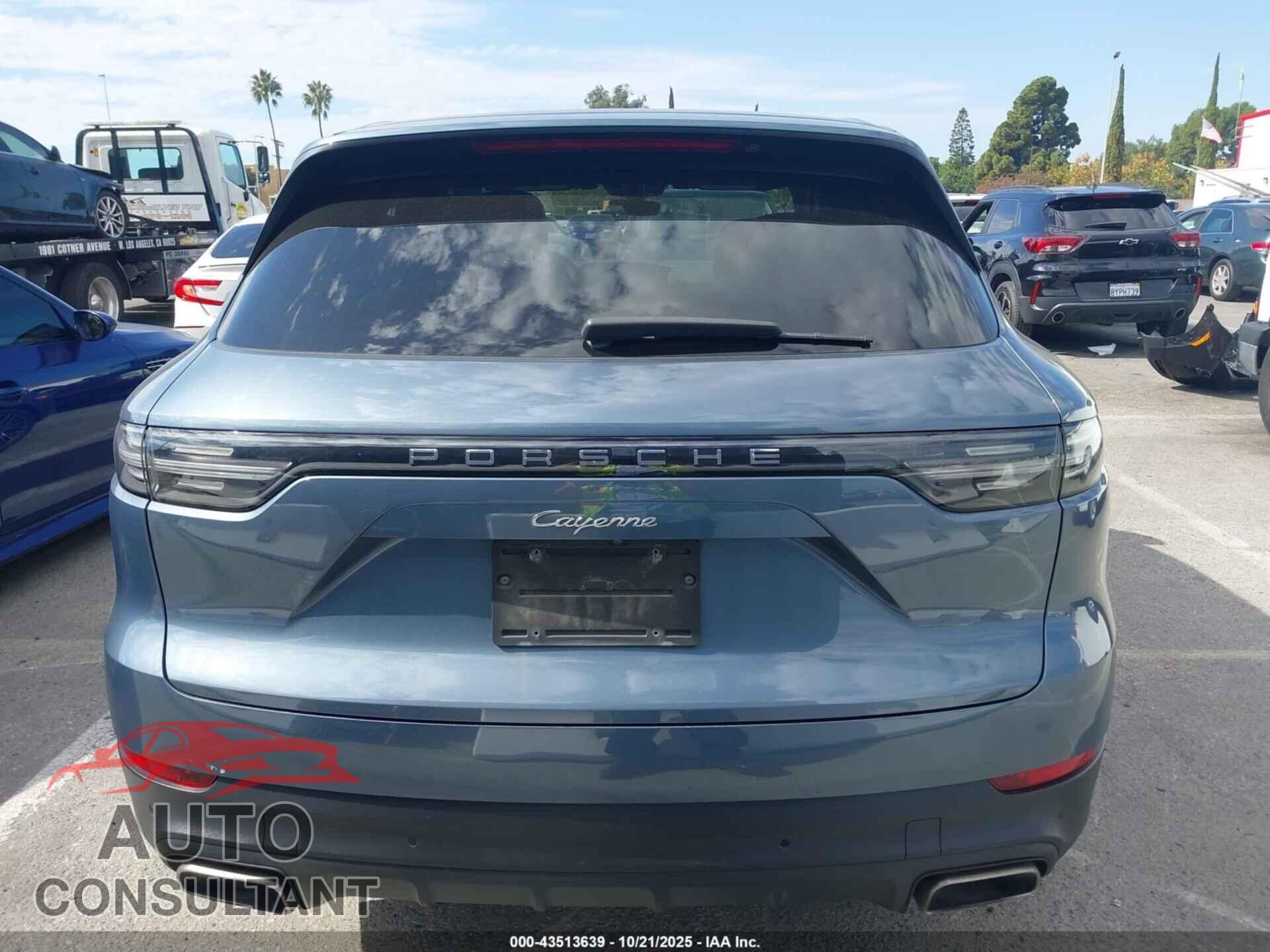 PORSCHE CAYENNE 2019 - WP1AA2AY4KDA17024
