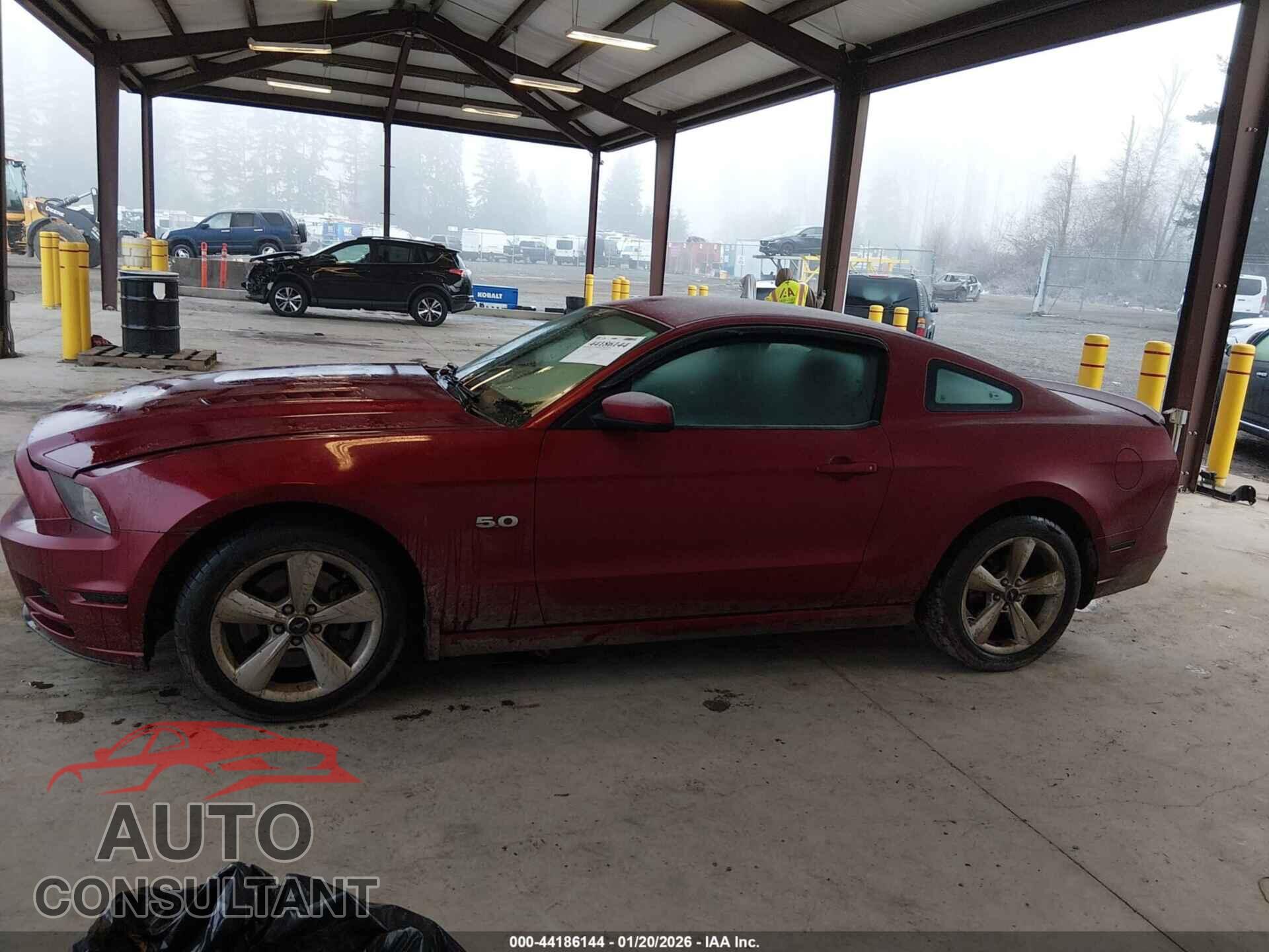 FORD MUSTANG 2014 - 1ZVBP8CF0E5206204