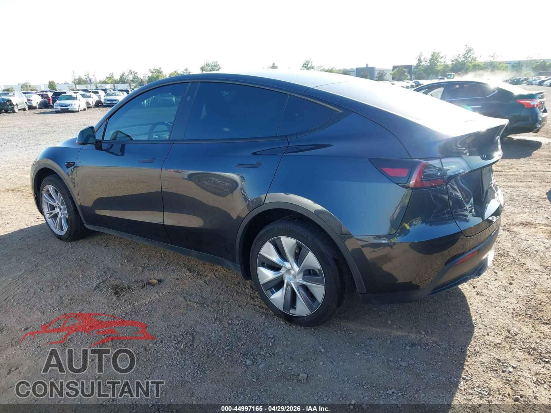 TESLA MODEL Y 2024 - 7SAYGDEE0RF080881
