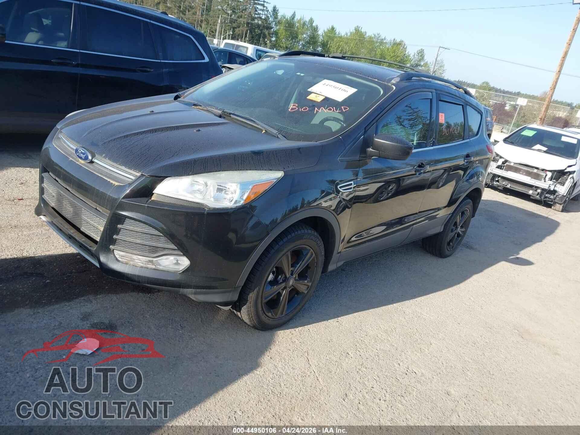 FORD ESCAPE 2013 - 1FMCU9G97DUD12384