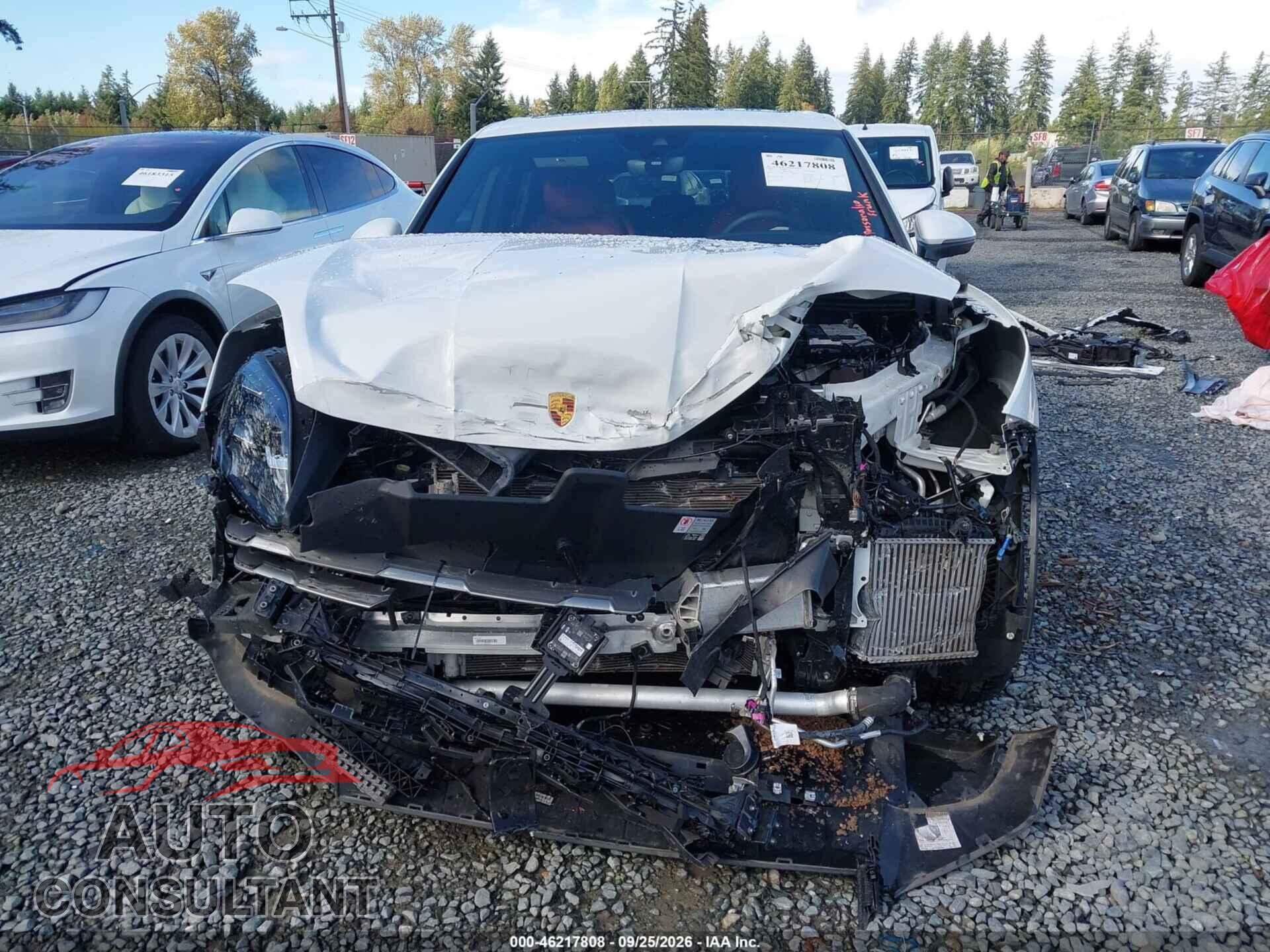 PORSCHE CAYENNE 2024 - WP1AA2AY2RDA13564
