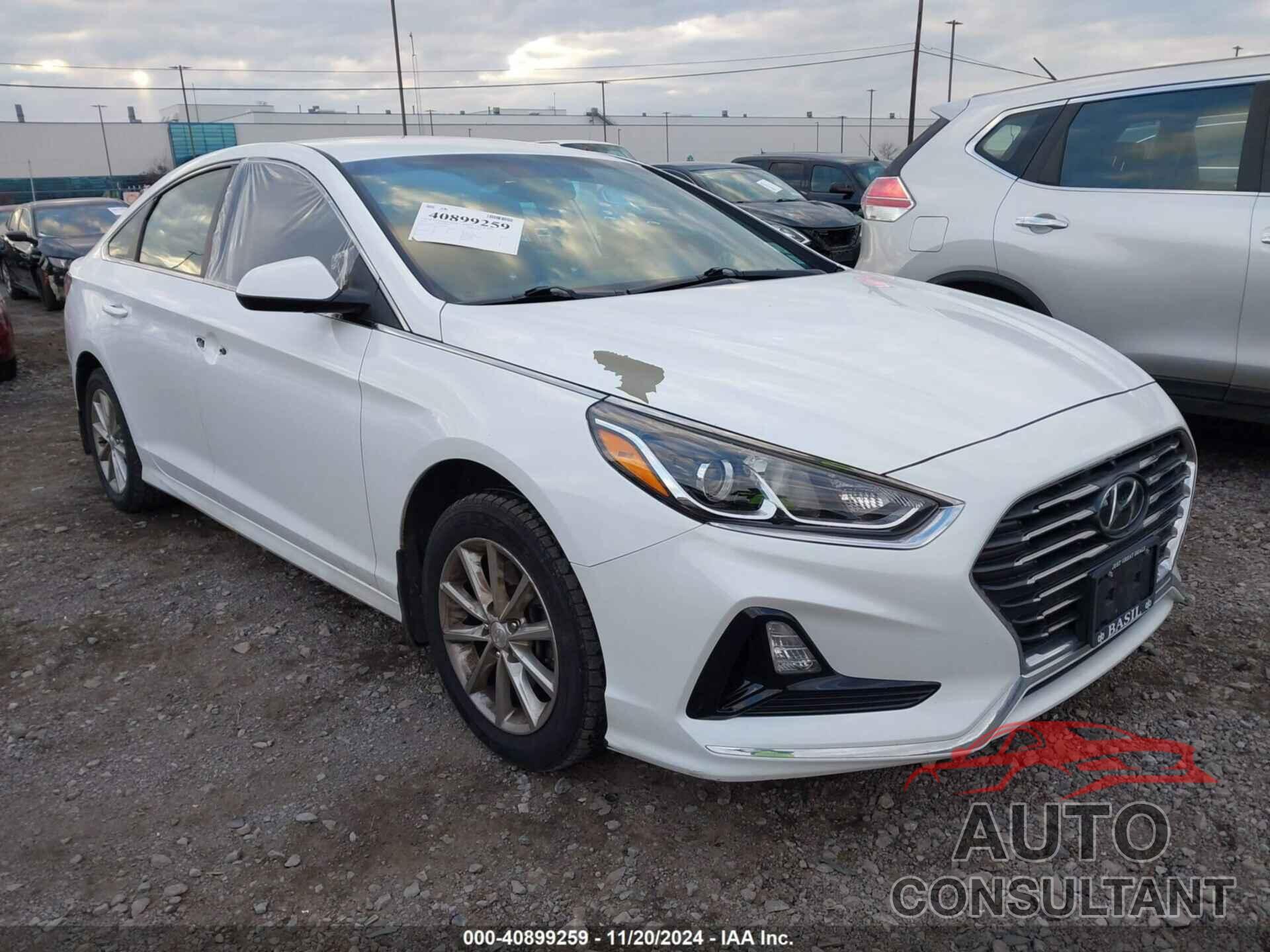 HYUNDAI SONATA 2019 - 5NPE24AF3KH797697