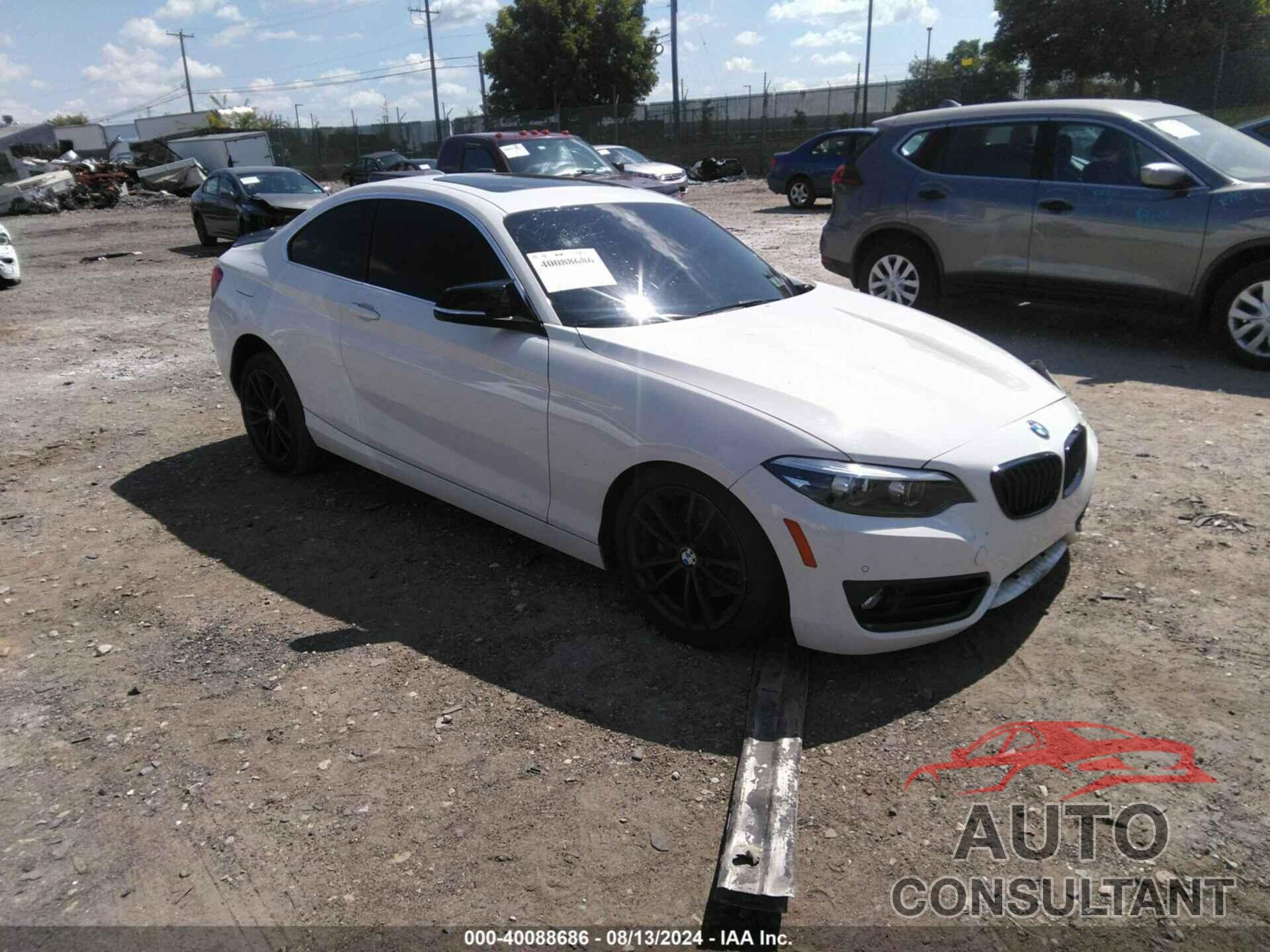 BMW 230I 2019 - WBA2J3C50KVD49146