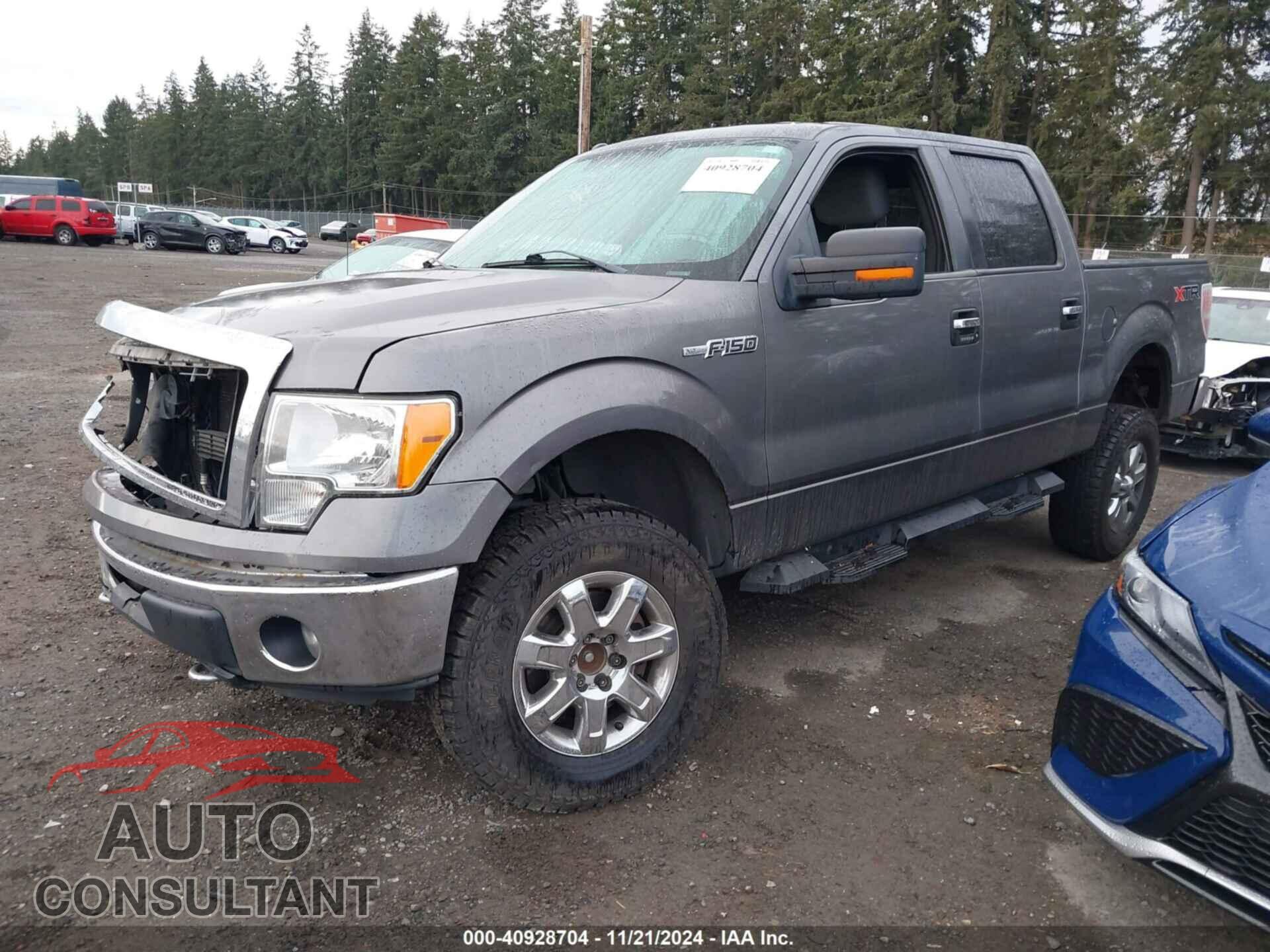 FORD F150 2014 - 1FTFW1EF4EFD00446