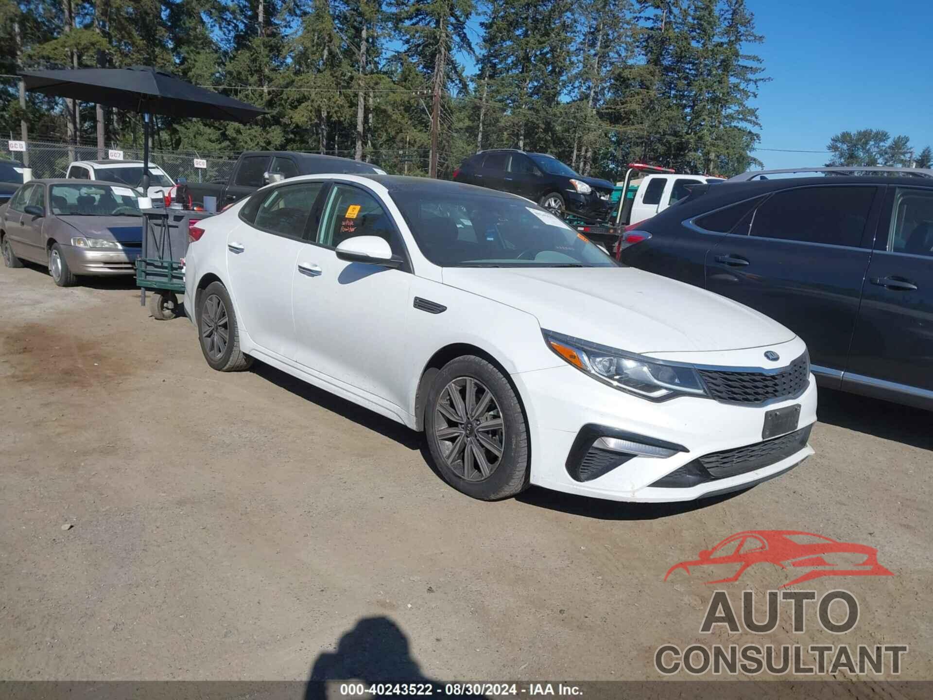 KIA OPTIMA 2019 - 5XXGT4L38KG300177