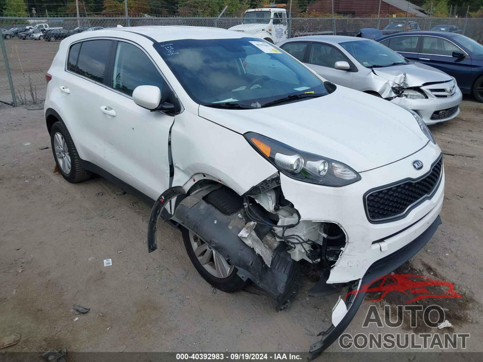 KIA SPORTAGE 2019 - KNDPM3AC7K7501443