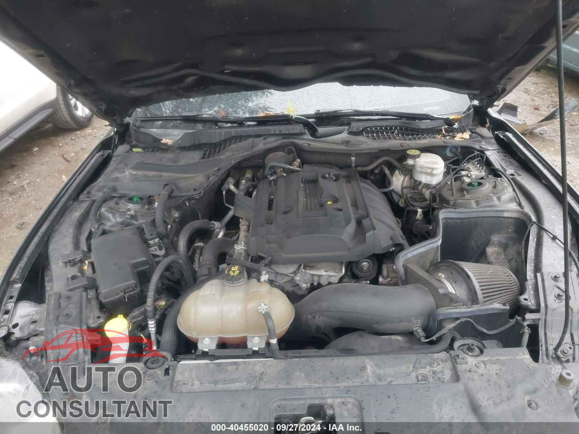 FORD MUSTANG 2019 - 1FA6P8TH4K5111877