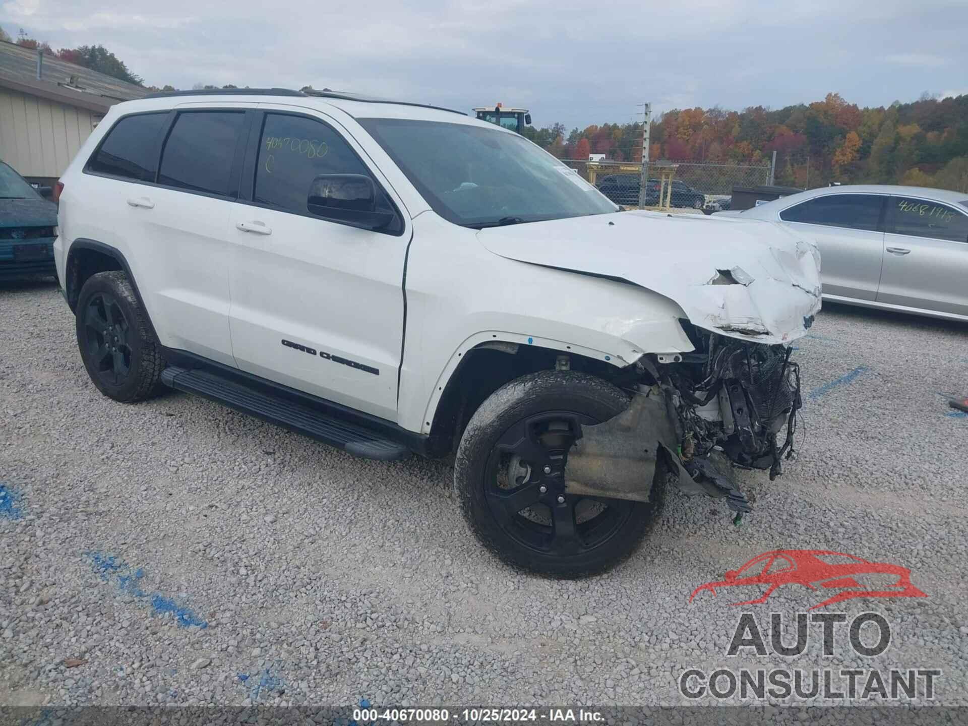 JEEP GRAND CHEROKEE 2019 - 1C4RJFAG6KC720715