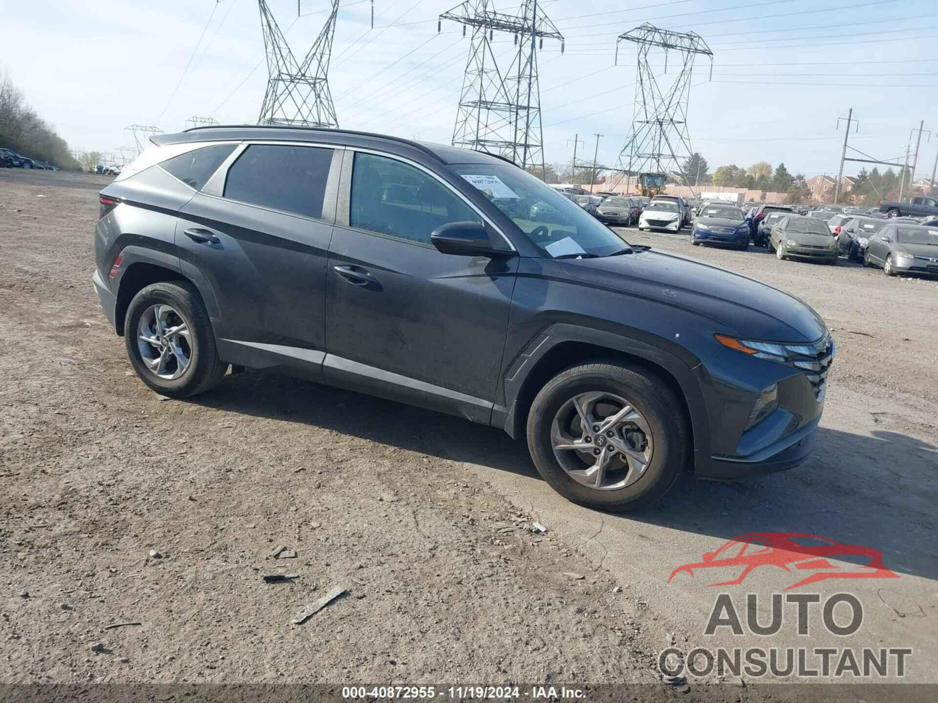 HYUNDAI TUCSON 2023 - 5NMJBCAEXPH253945