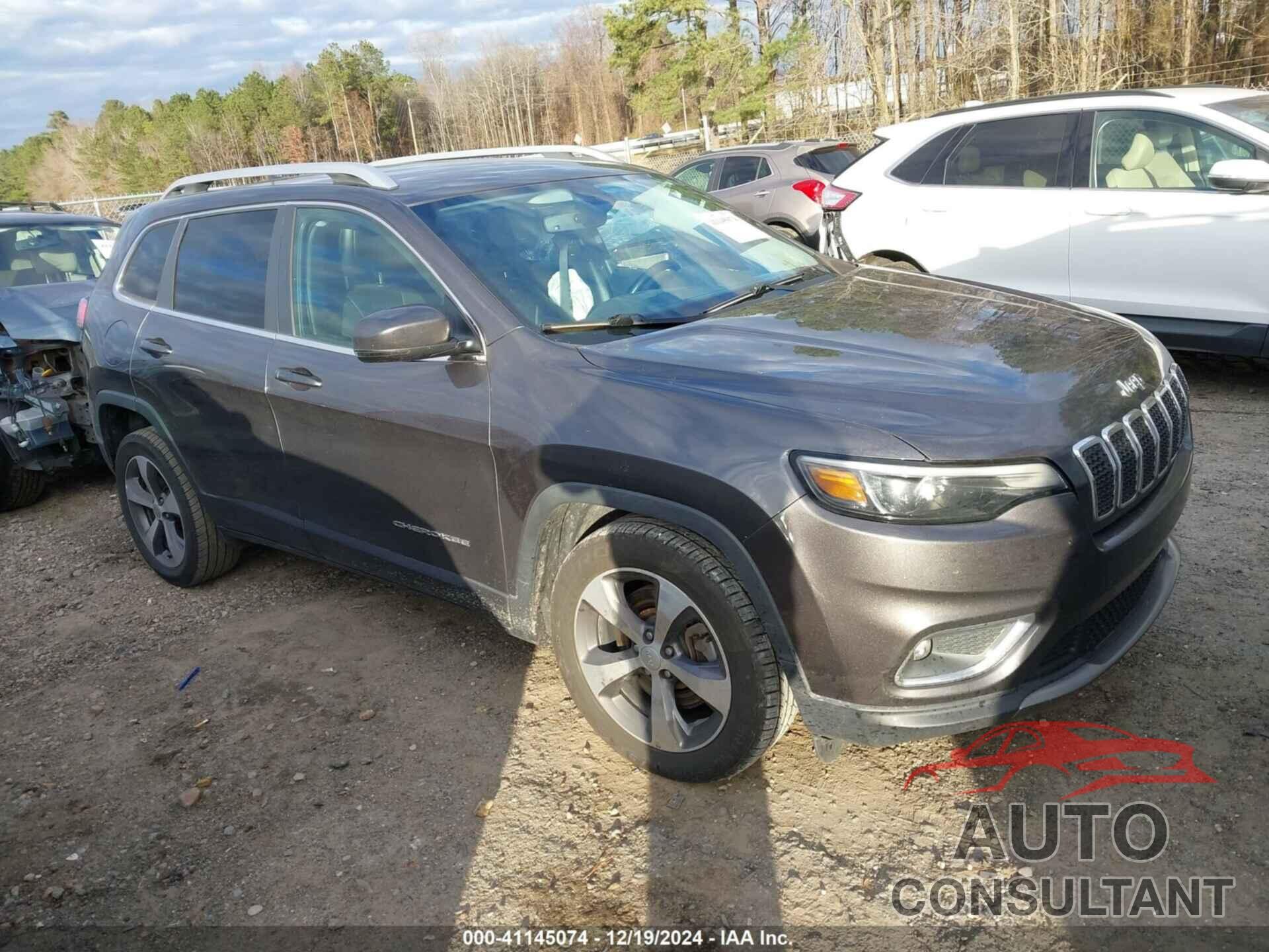 JEEP CHEROKEE 2019 - 1C4PJLDBXKD402970