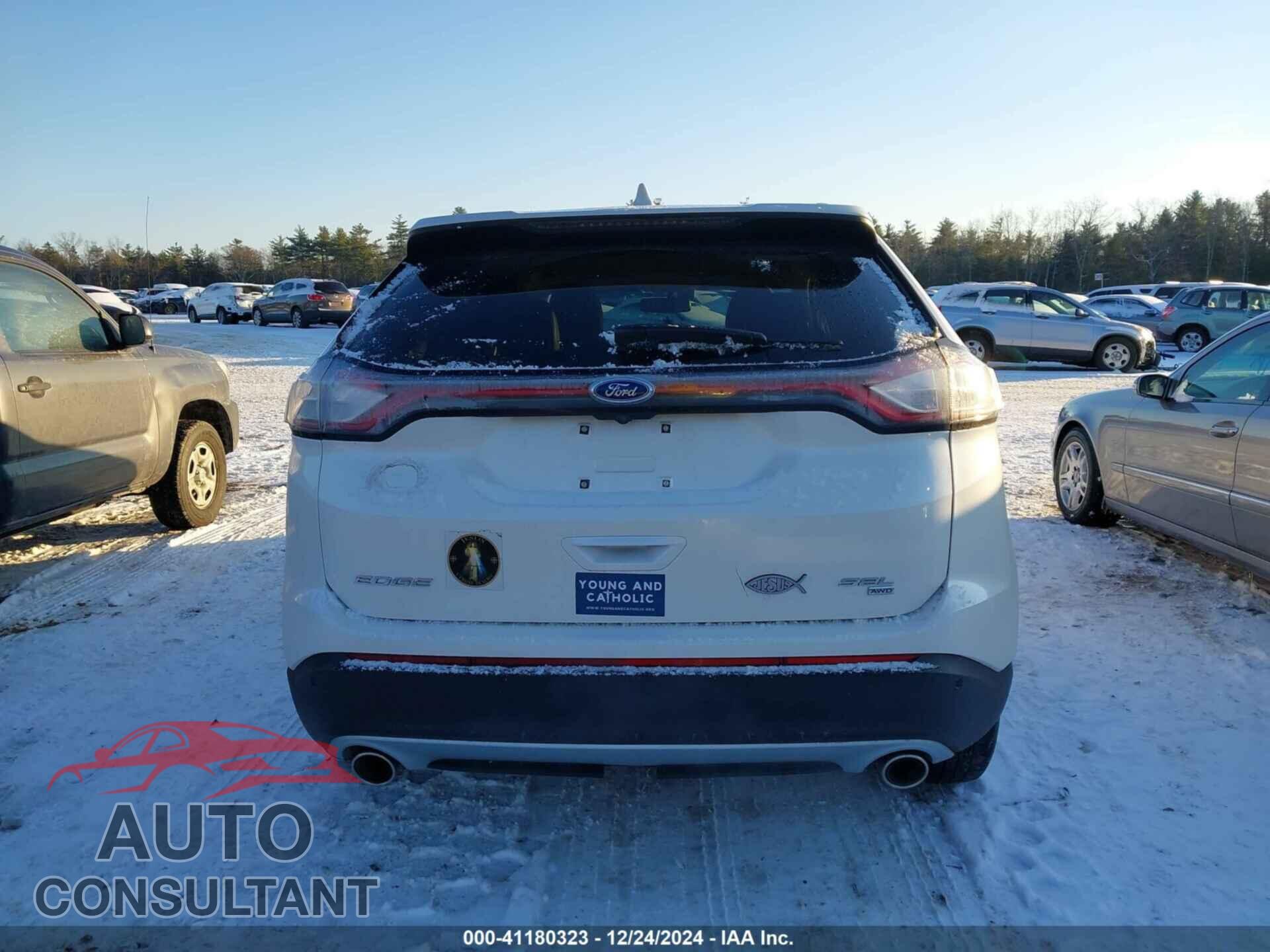 FORD EDGE 2015 - 2FMTK4J82FBB62234
