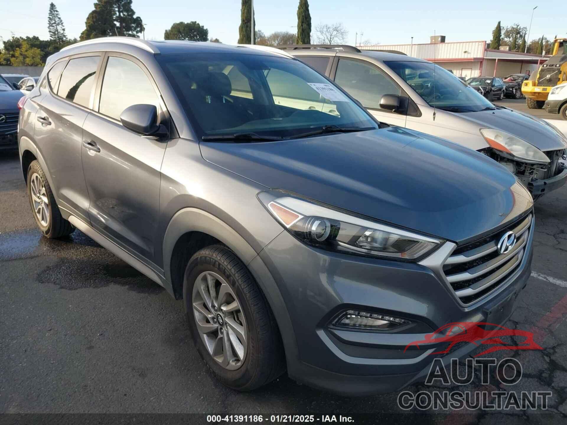 HYUNDAI TUCSON 2017 - KM8J33A47HU396149