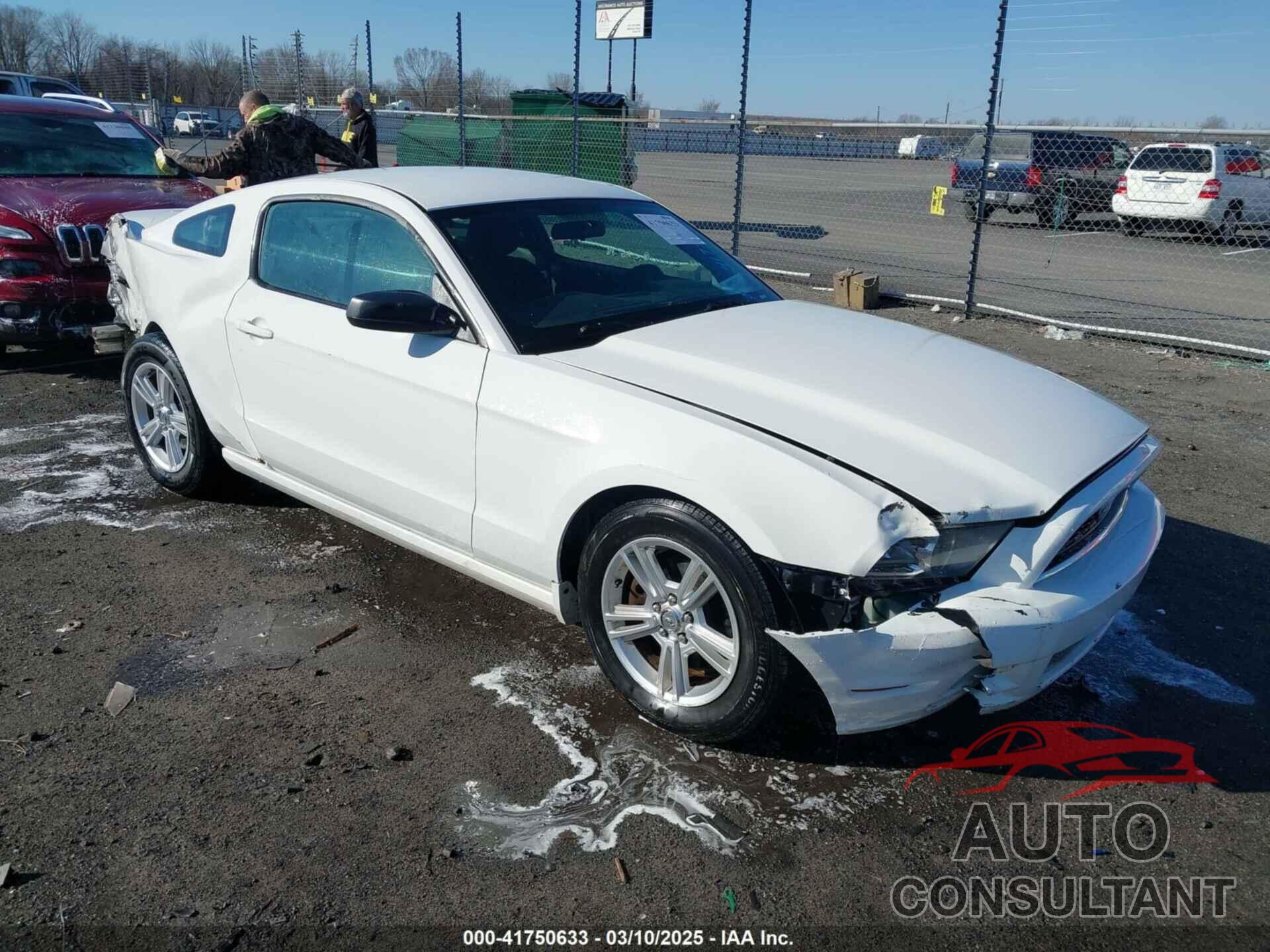 FORD MUSTANG 2013 - 1ZVBP8AM6D5275902