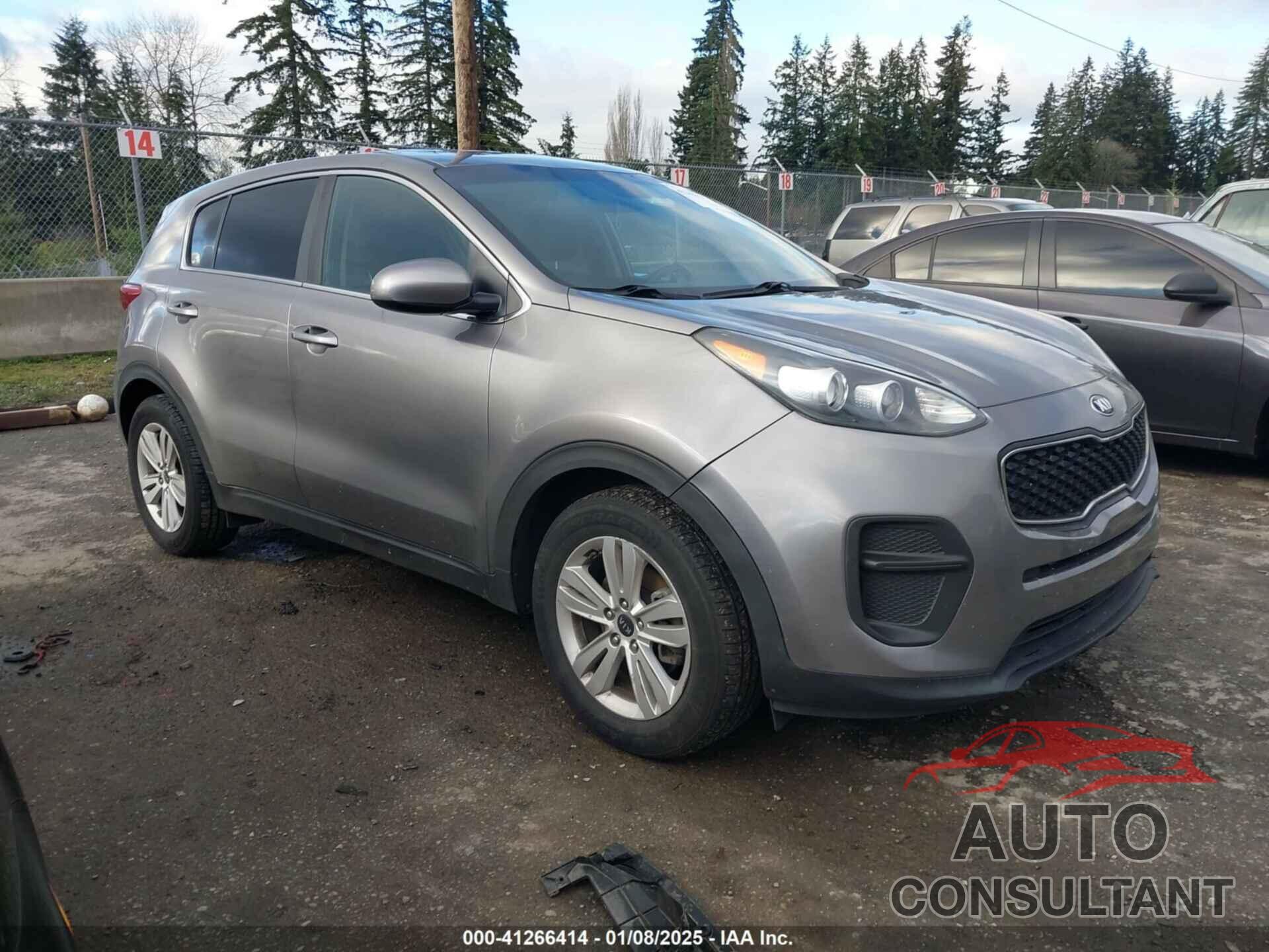 KIA SPORTAGE 2019 - KNDPM3AC4K7507958