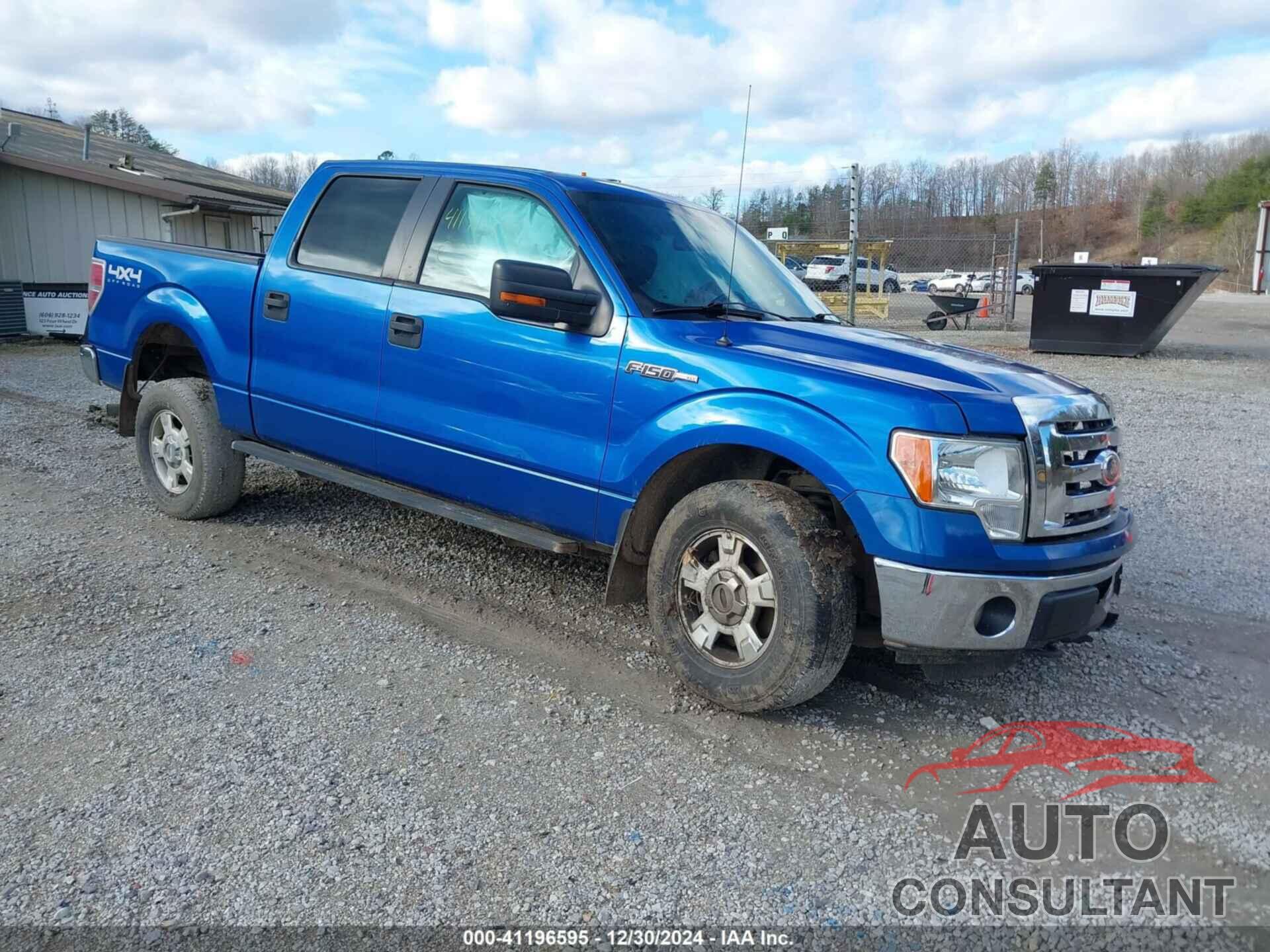 FORD F-150 2012 - 1FTFW1EF1CFB22959