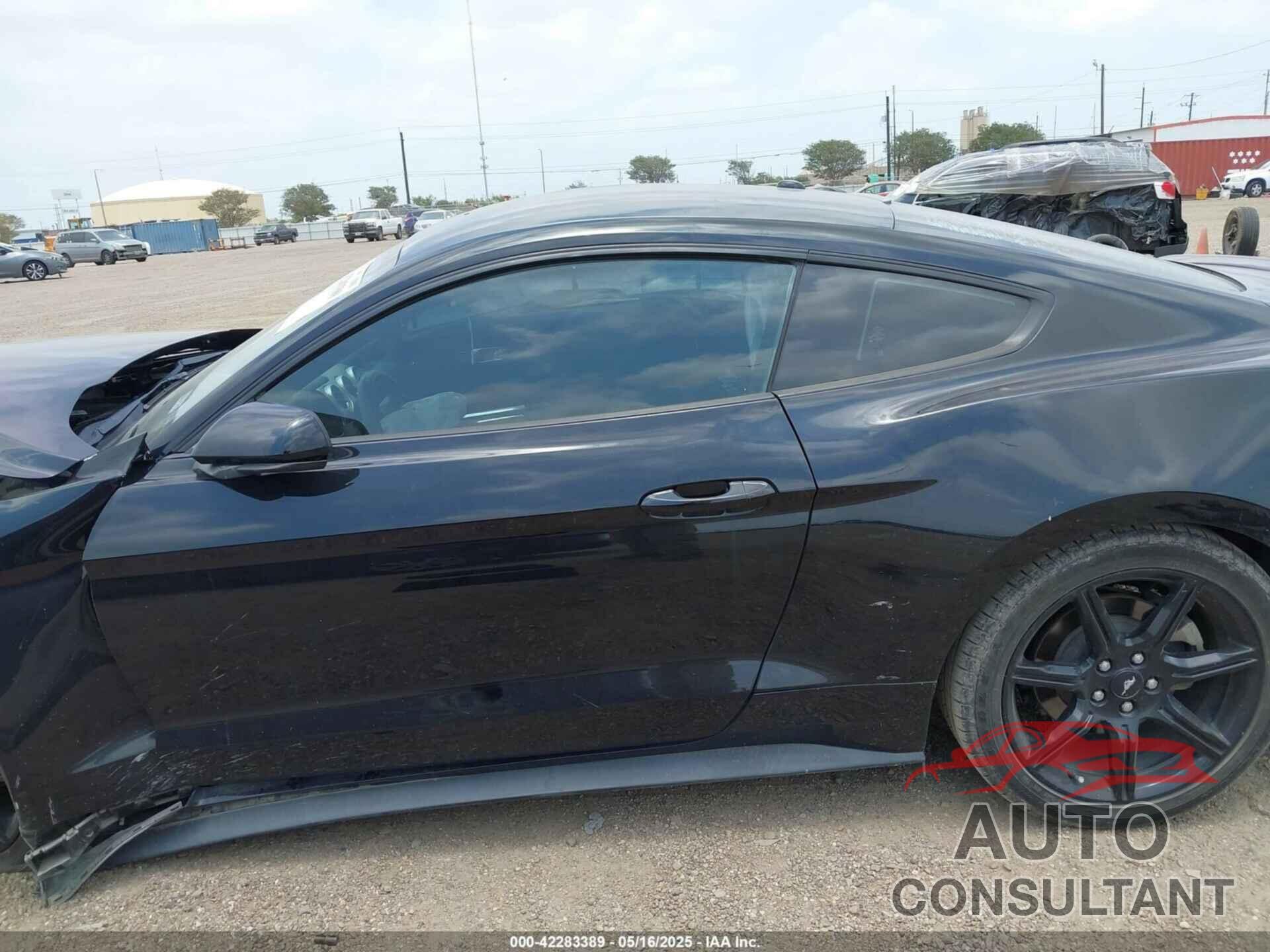 FORD MUSTANG 2019 - 1FA6P8THXK5125833