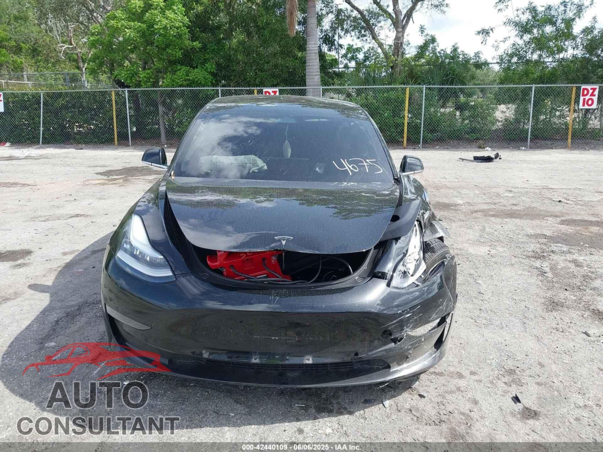 TESLA MODEL 3 2019 - 5YJ3E1EA2KF394675