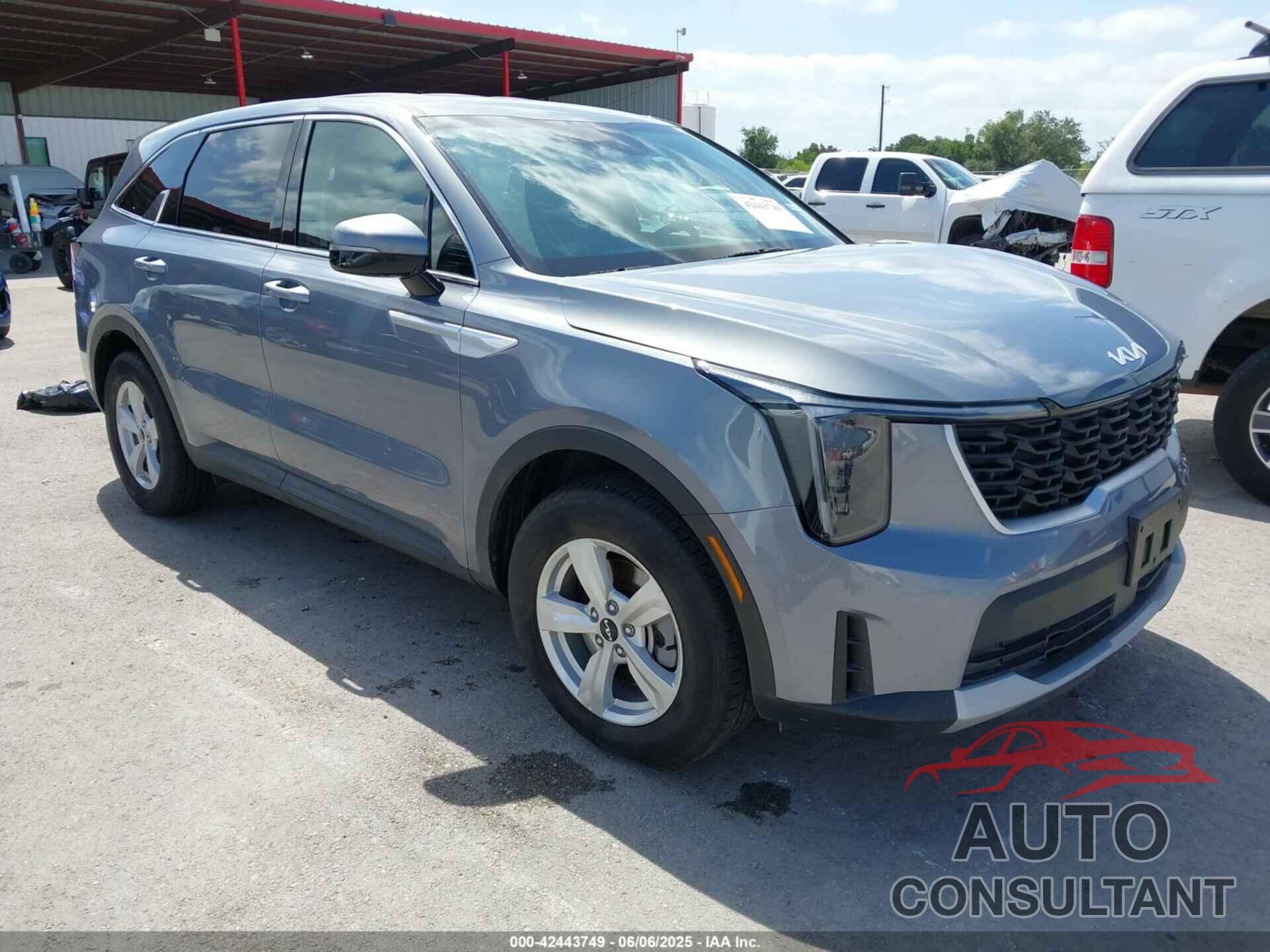 KIA SORENTO 2024 - 5XYRG4JC9RG304955