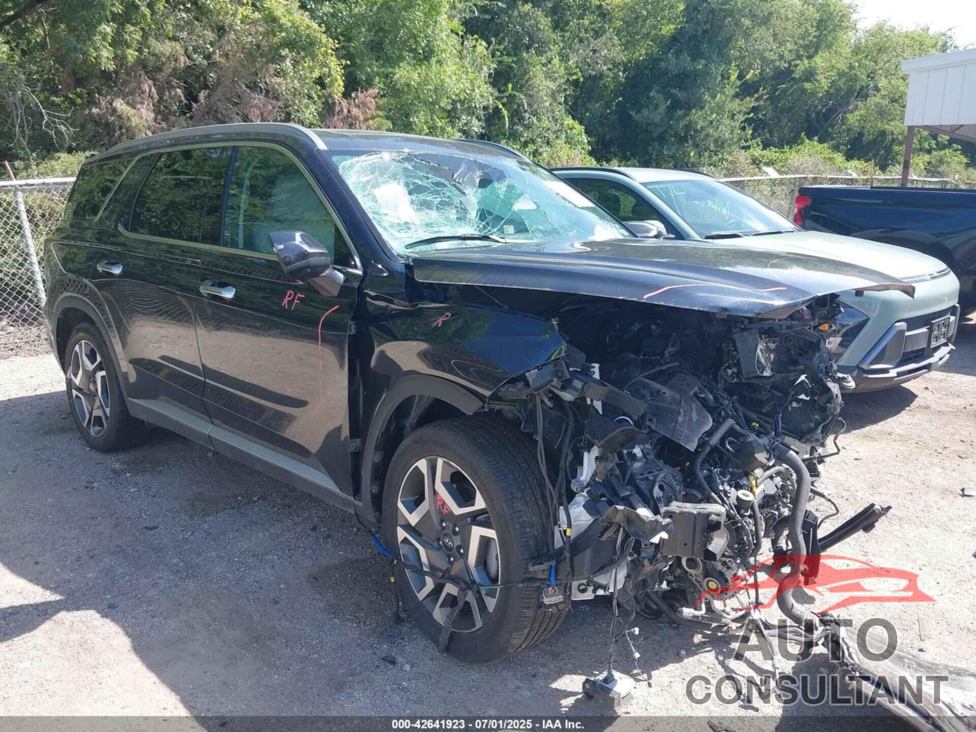 HYUNDAI PALISADE 2024 - KM8R44GE8RU719289