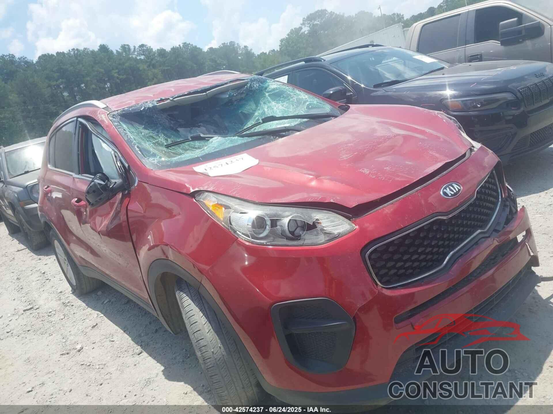 KIA SPORTAGE 2019 - KNDPM3AC6K7531324