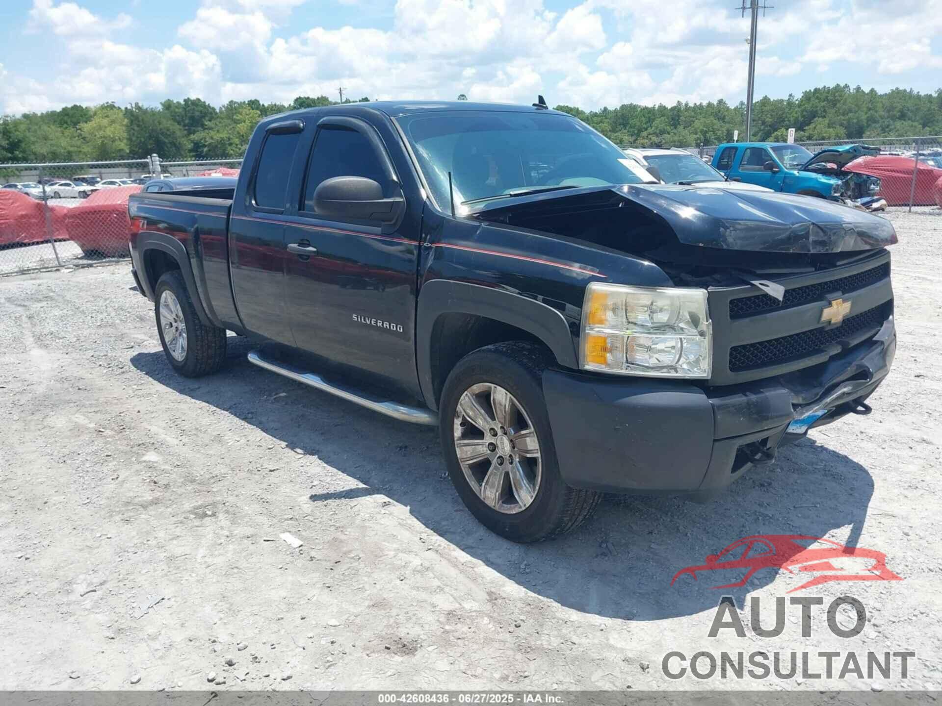 CHEVROLET SILVERADO 1500 2009 - 1GCEK19C29Z288339