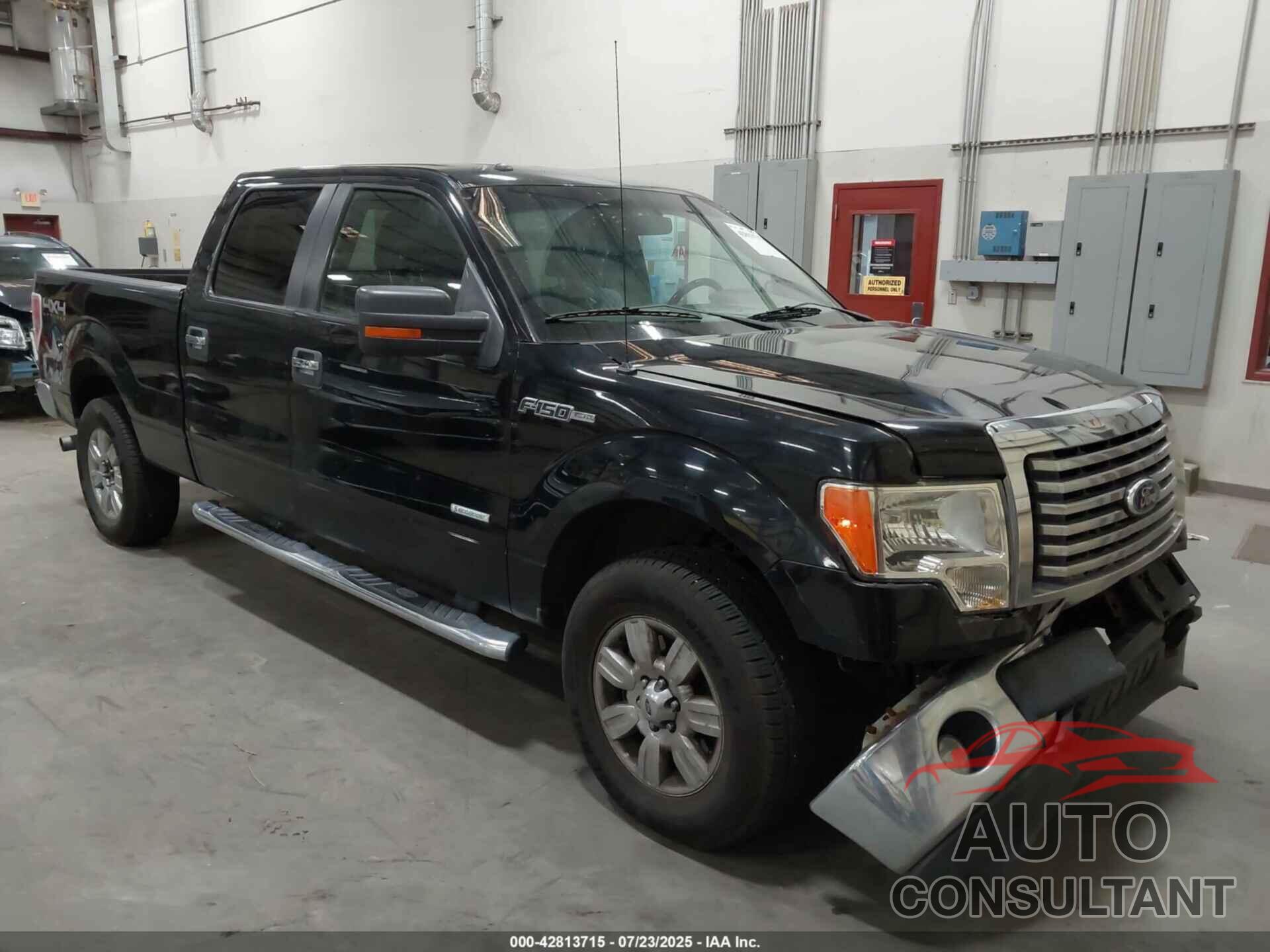 FORD F-150 2011 - 1FTFW1ETXBFD30729