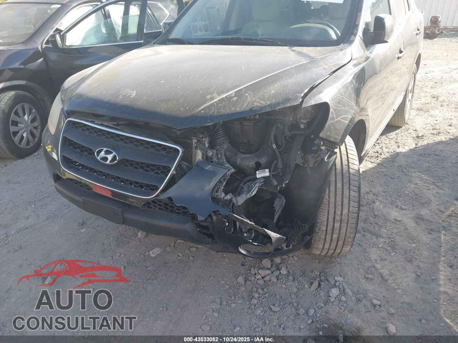 HYUNDAI SANTA FE 2009 - 5NMSH13E29H257124