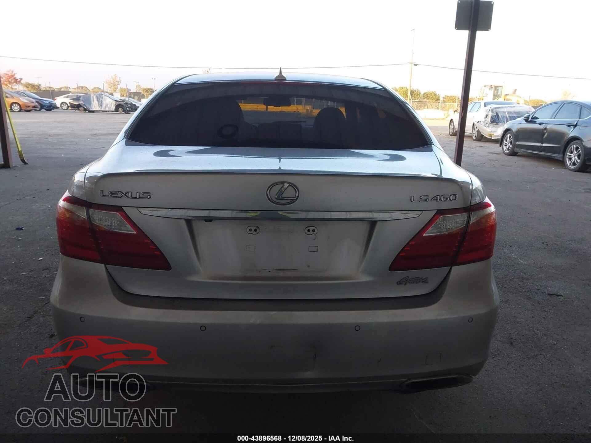 LEXUS LS 460 2010 - JTHBL5EF2A5092385