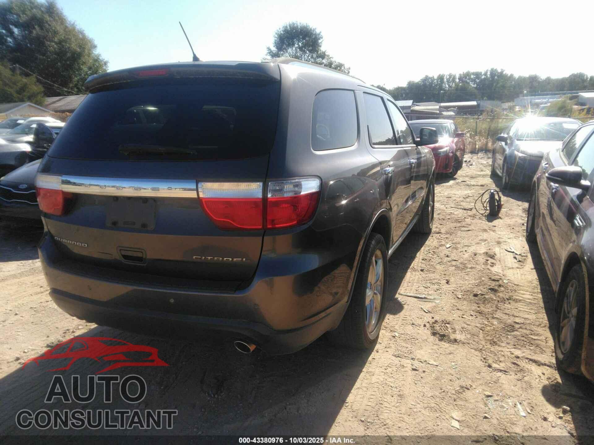 DODGE DURANGO 2013 - 1C4RDHEG3DC696454