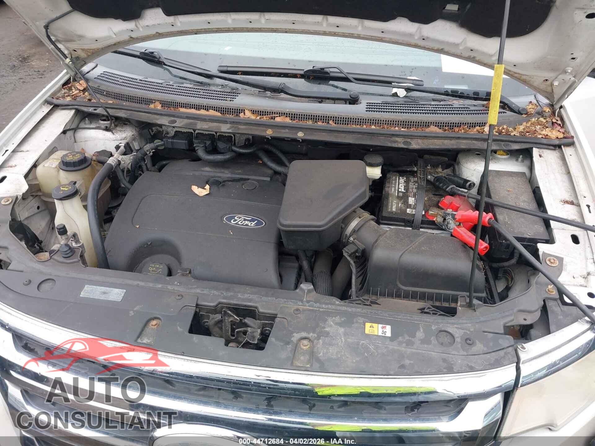 FORD EDGE 2011 - 2FMDK4KC6BBB36673