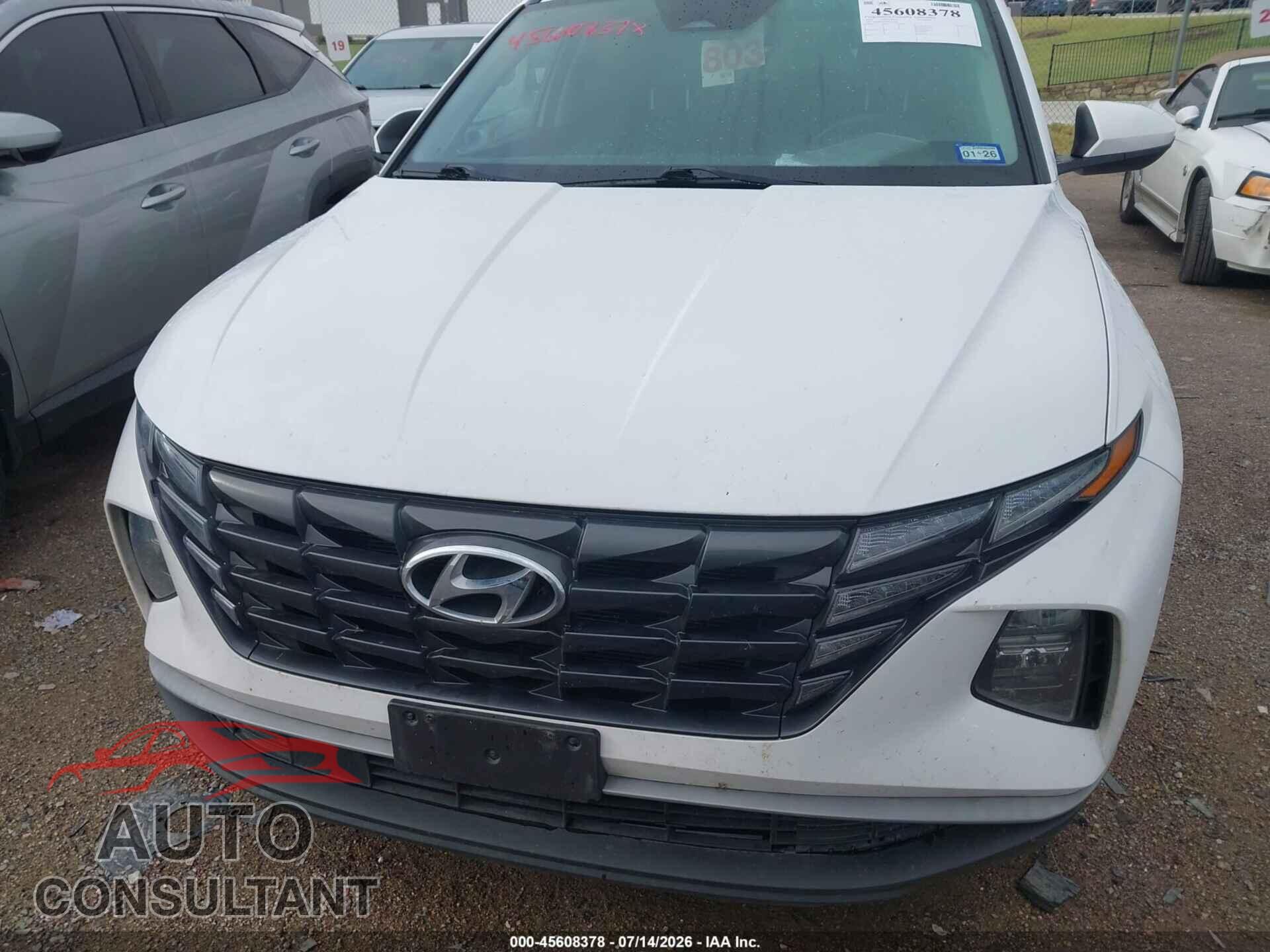 HYUNDAI TUCSON 2024 - 5NMJB3DE2RH395382