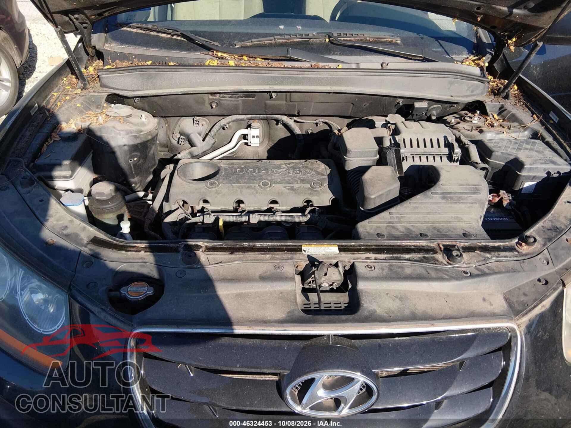 HYUNDAI SANTA FE 2010 - 5NMSGDAB2AH416421