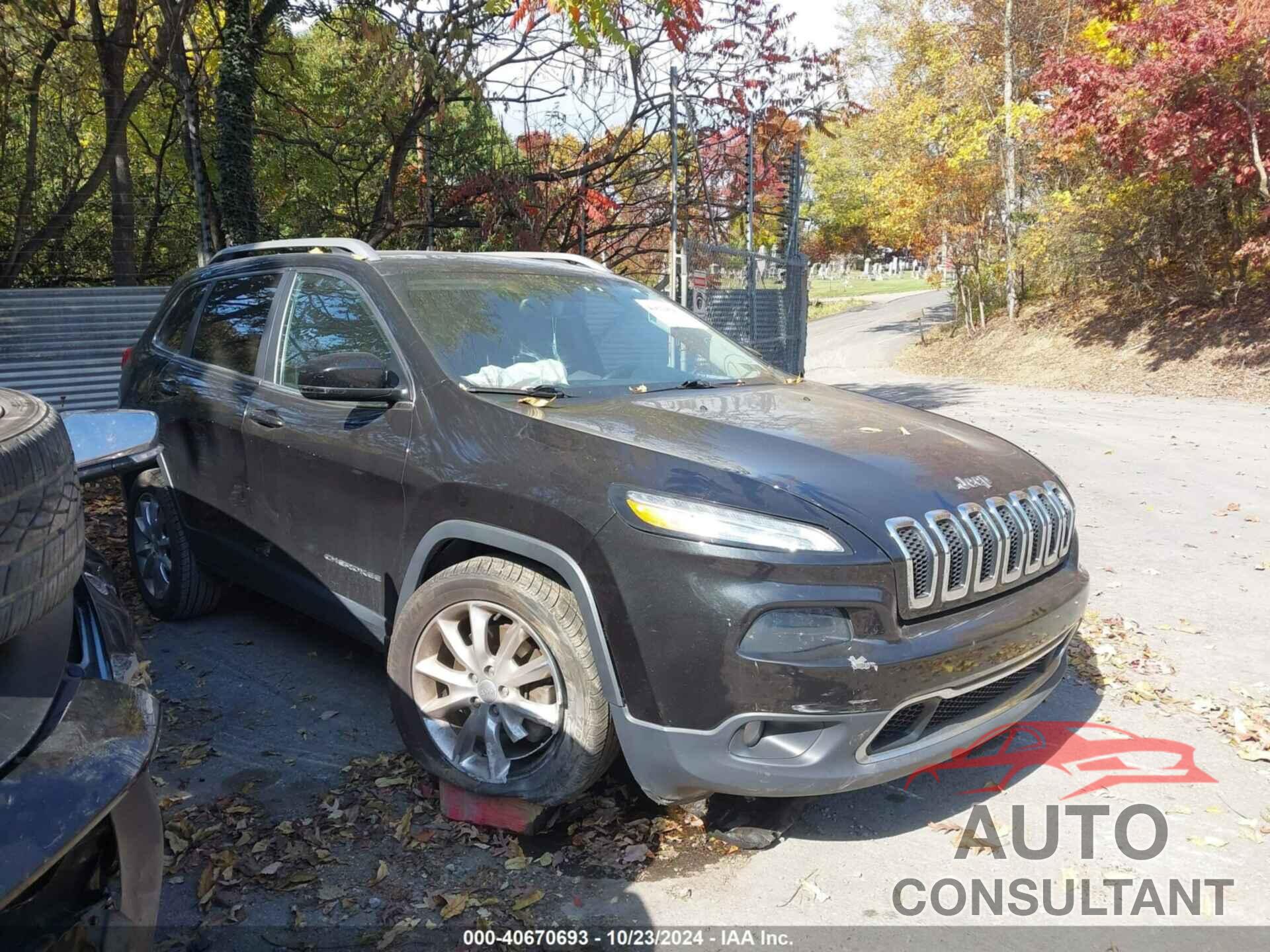 JEEP CHEROKEE 2016 - 1C4PJLDB5GW324187