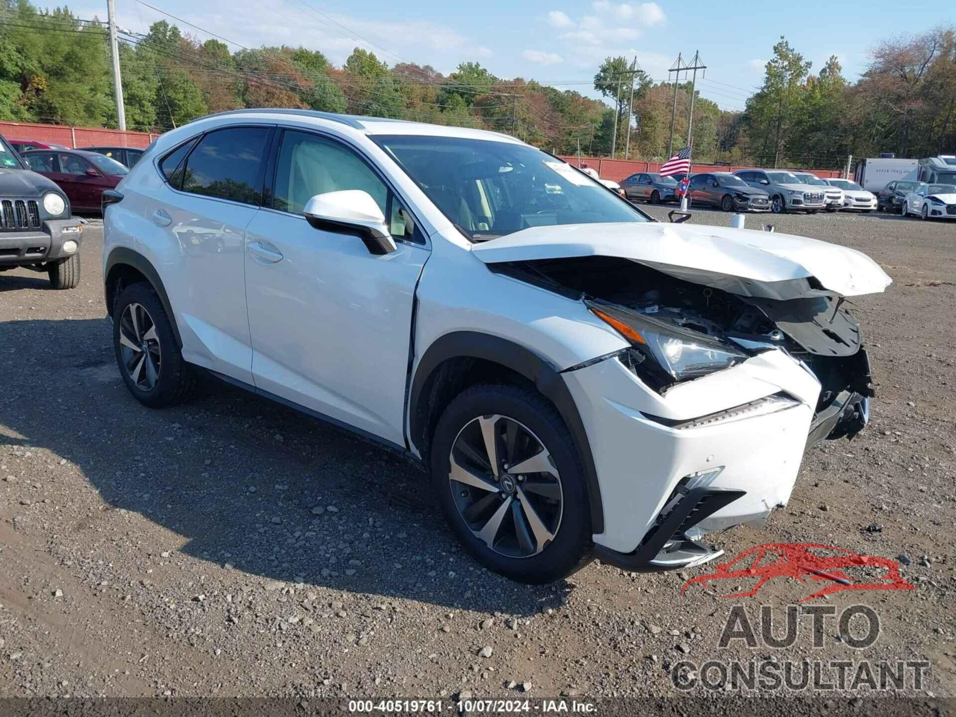 LEXUS NX 300 2019 - JTJBARBZ8K2213501