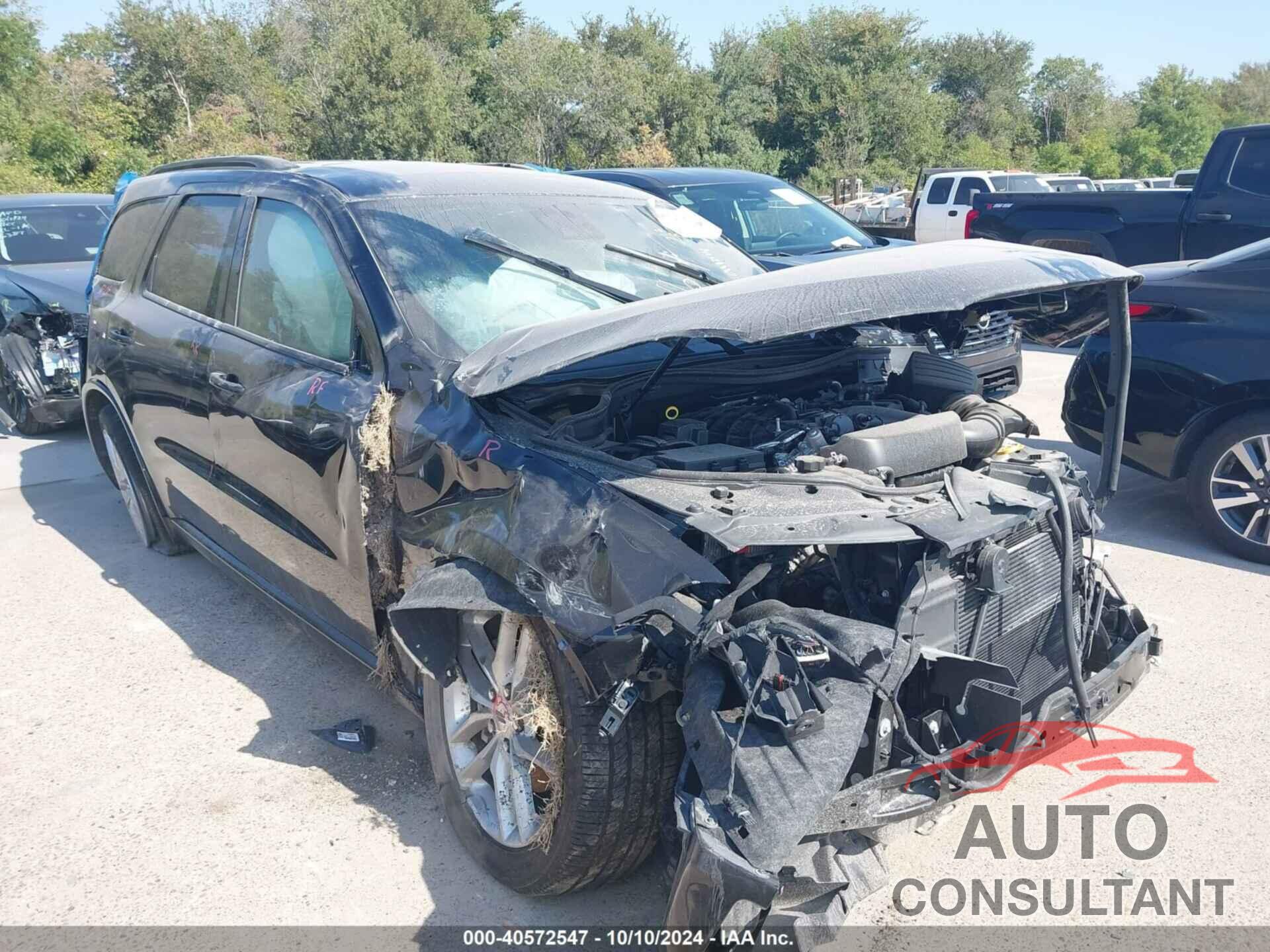 DODGE DURANGO 2024 - 1C4RDHDGXRC118764