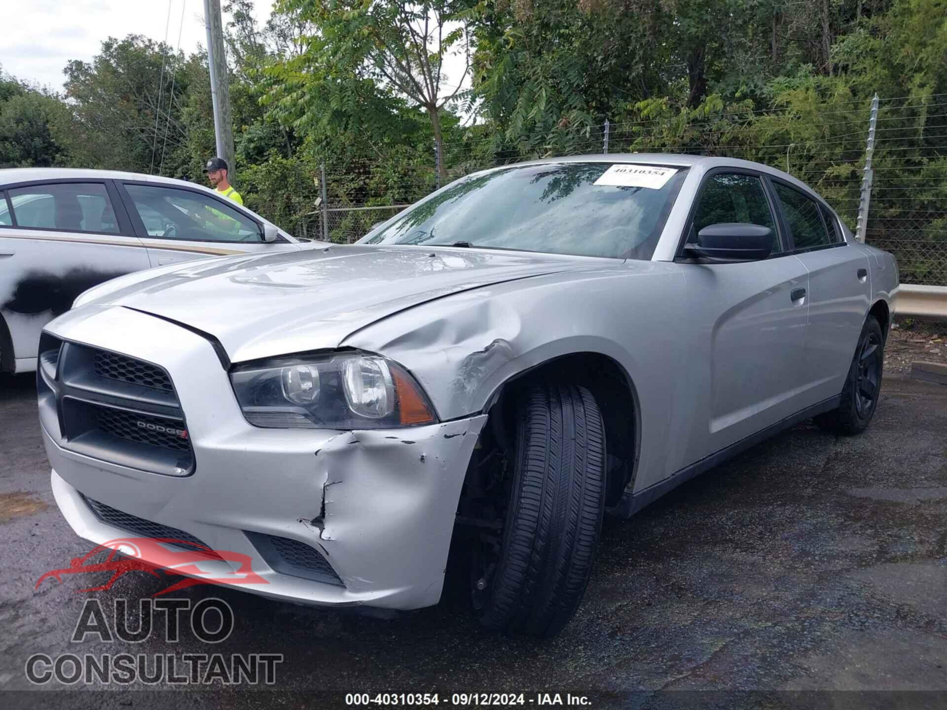 DODGE CHARGER 2014 - 2C3CDXAT7EH190843