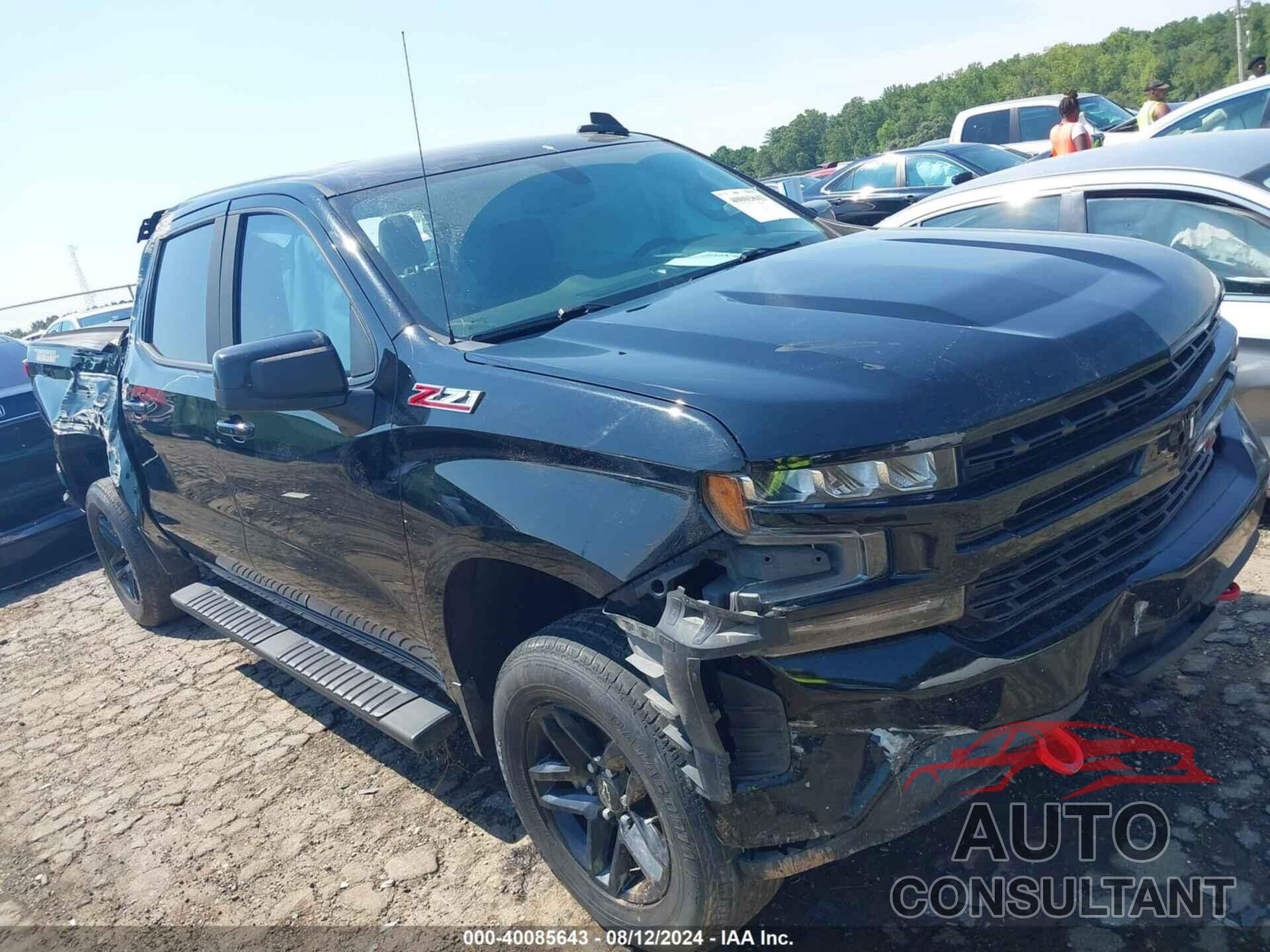 CHEVROLET SILVERADO 1500 2019 - 3GCPYFED9KG168434