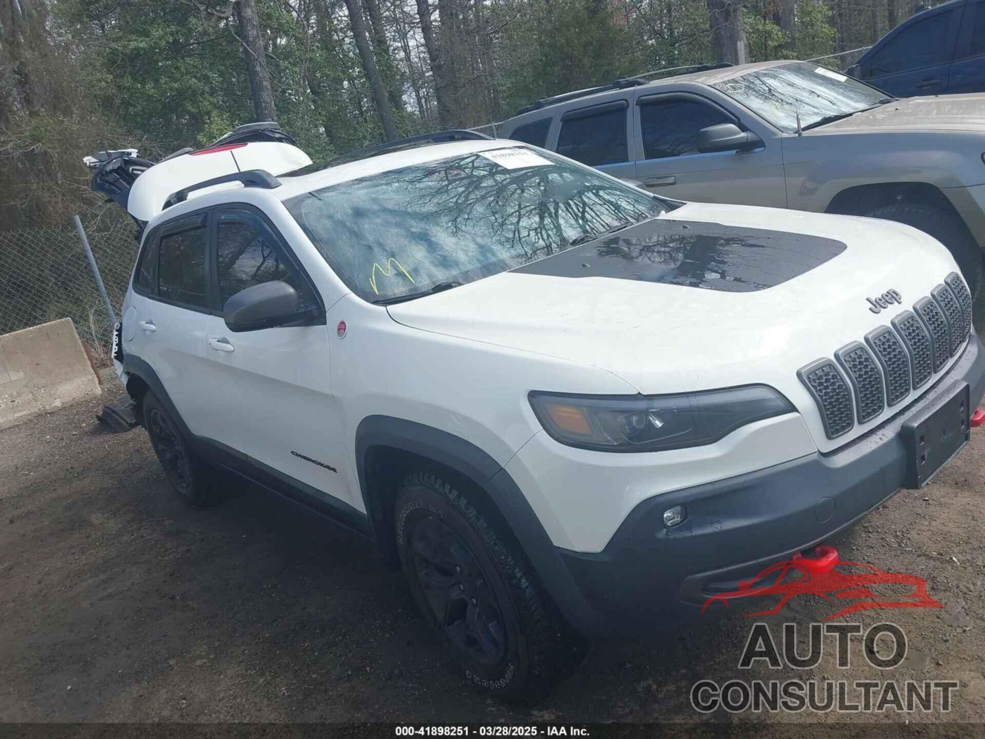 JEEP CHEROKEE 2019 - 1C4PJMBX4KD207368