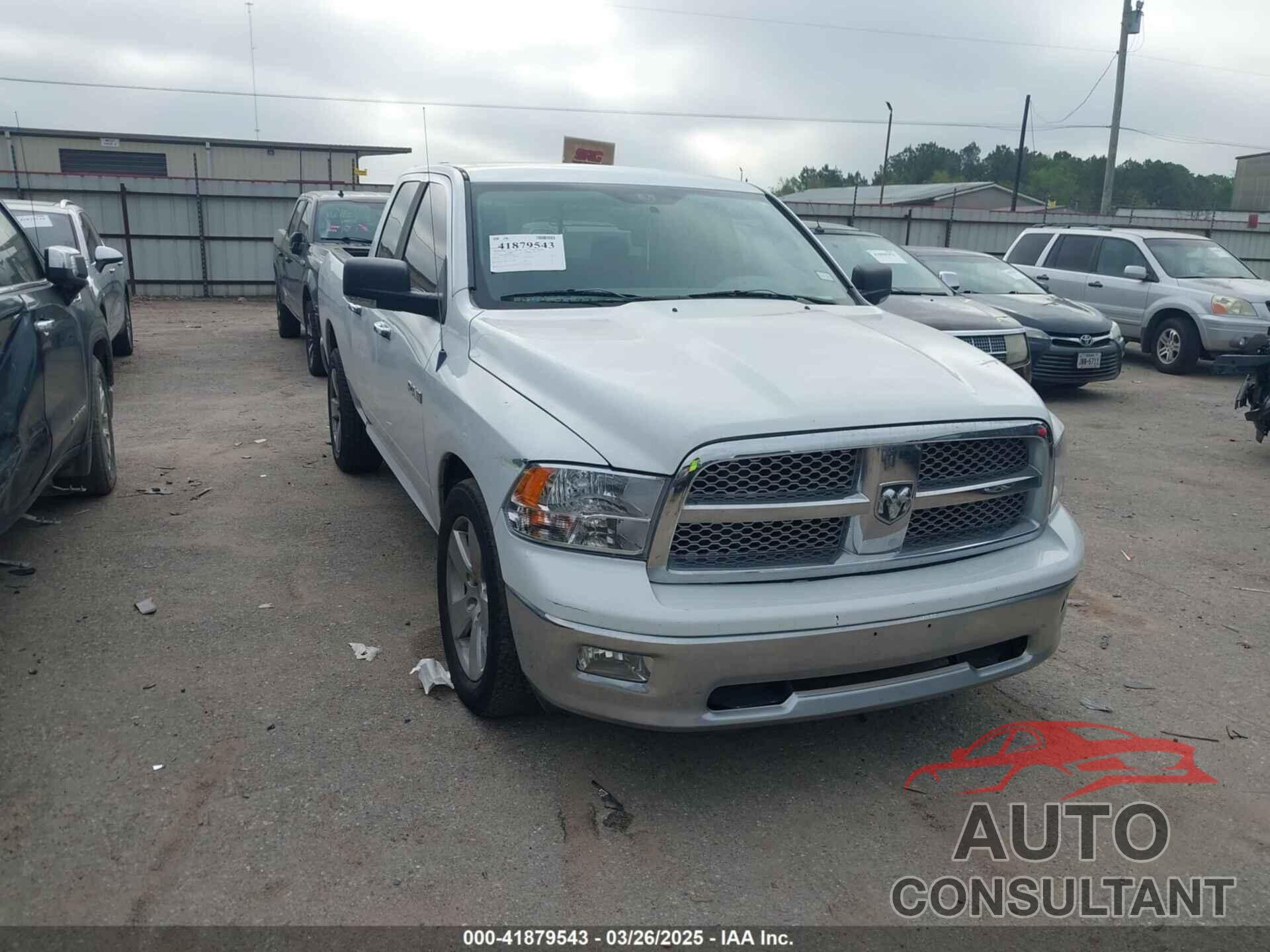 DODGE RAM 1500 2010 - 1D7RB1GP0AS141530