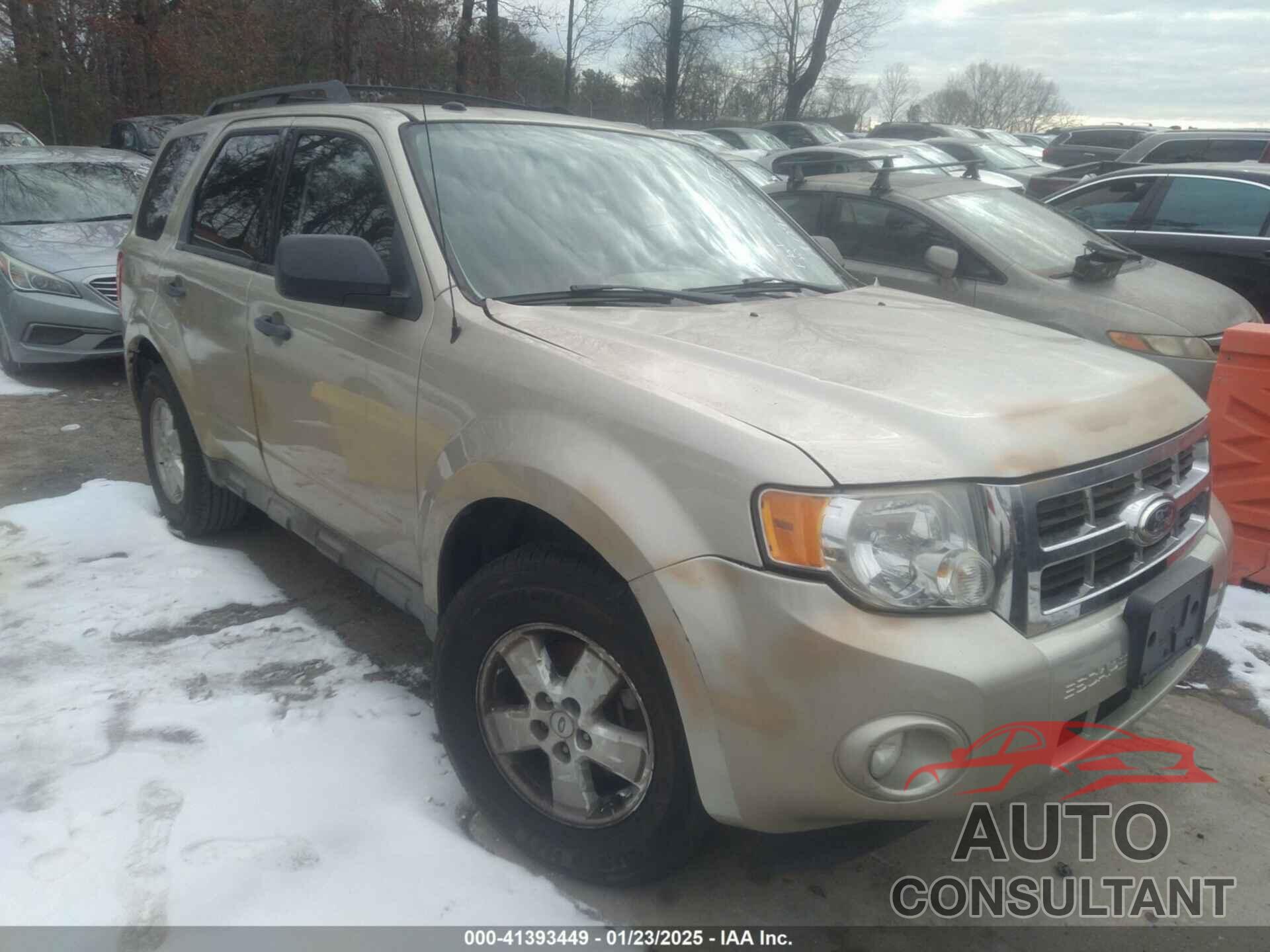 FORD ESCAPE 2010 - 1FMCU9D72AKA09636