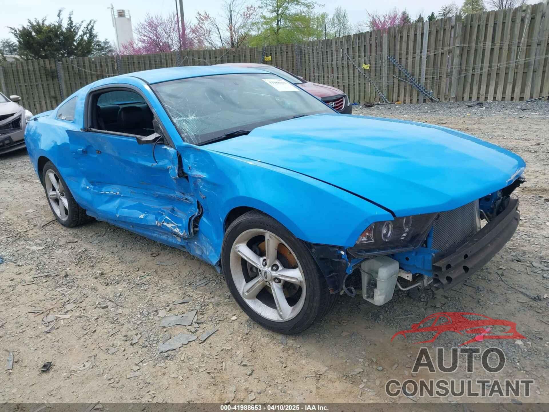 FORD MUSTANG 2010 - 1ZVBP8CH8A5101616