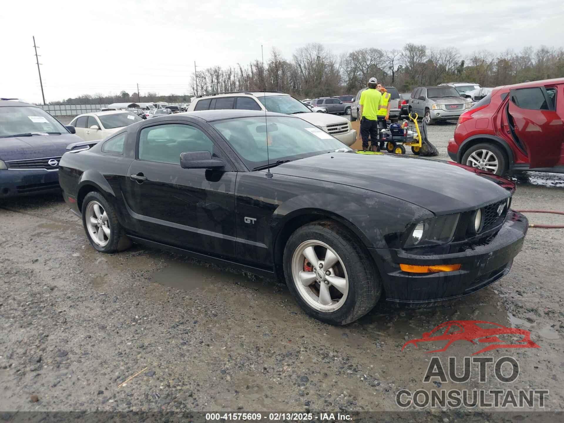 FORD MUSTANG 2009 - 1ZVHT82H195127431
